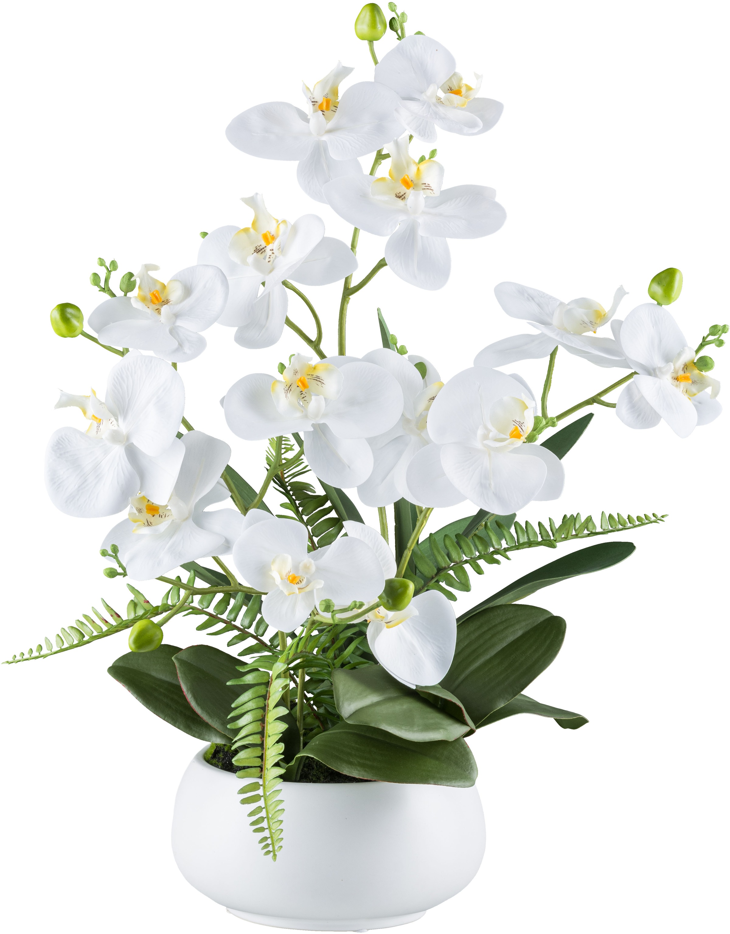 Creativ green Kunstorchidee "Orchidee Phalaenopsis", mit Farnzweigen