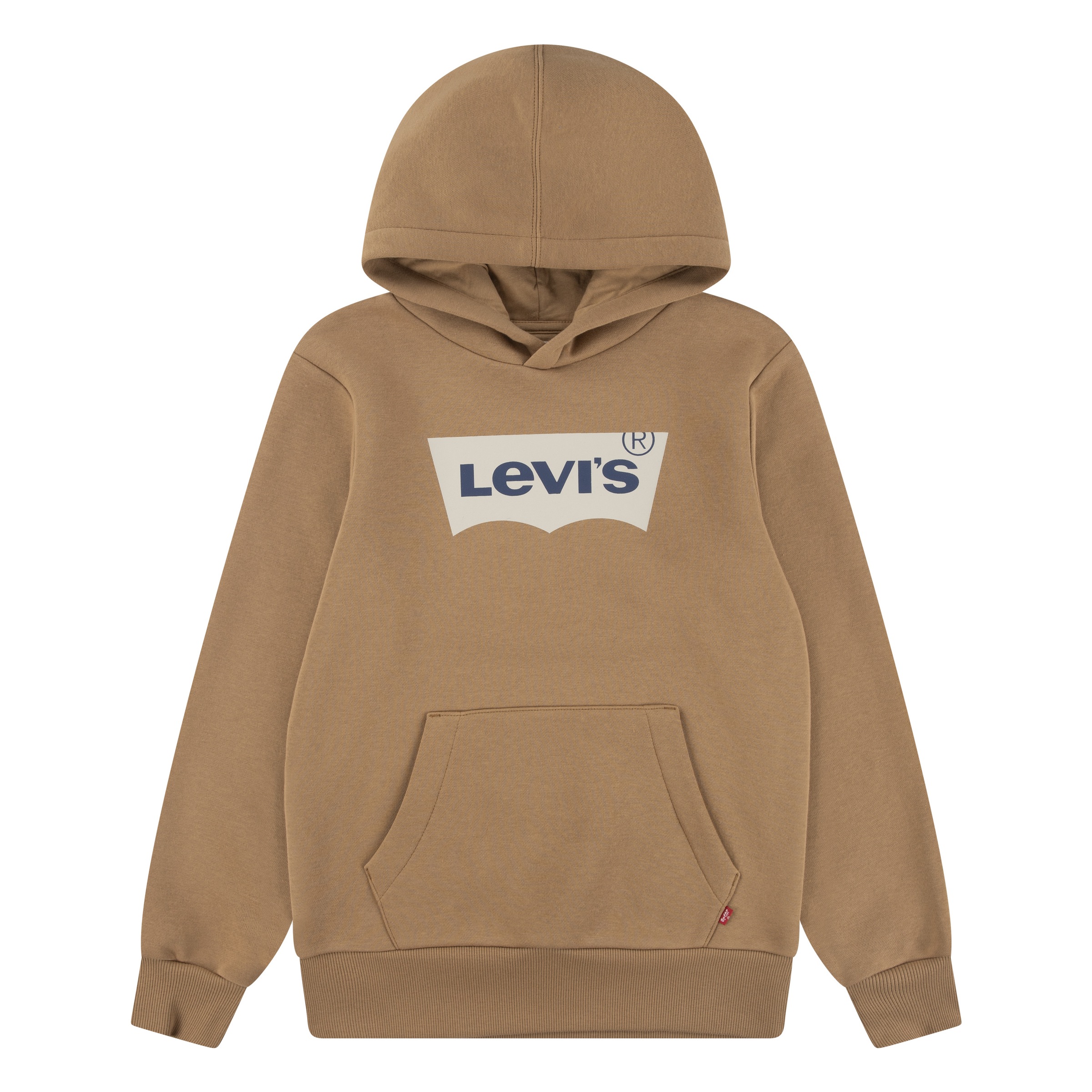 Levis Kids "LVB BATWING PULLOVER HOODIE", for BOYS