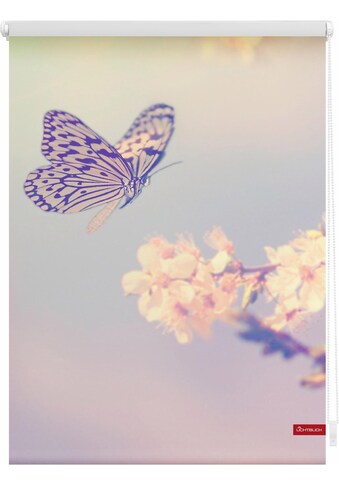 LICHTBLICK ORIGINAL Seitenzugrollo »Klemmfix Motiv Schmetterling«, Lichtschutz, ohne... kaufen