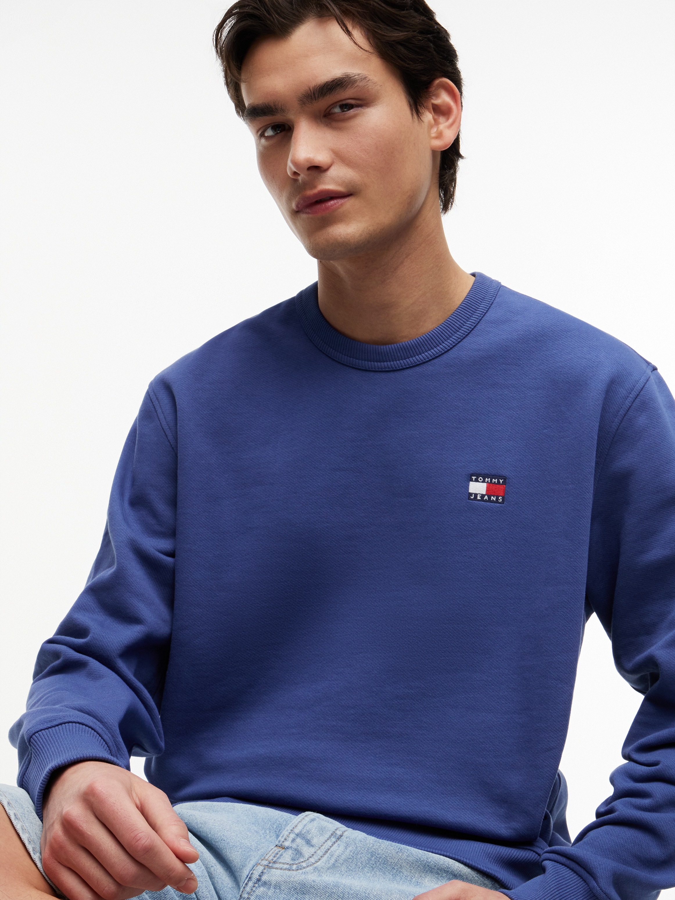Tommy Jeans Sweatshirt »TJM REG BADGE CREW EXT«
