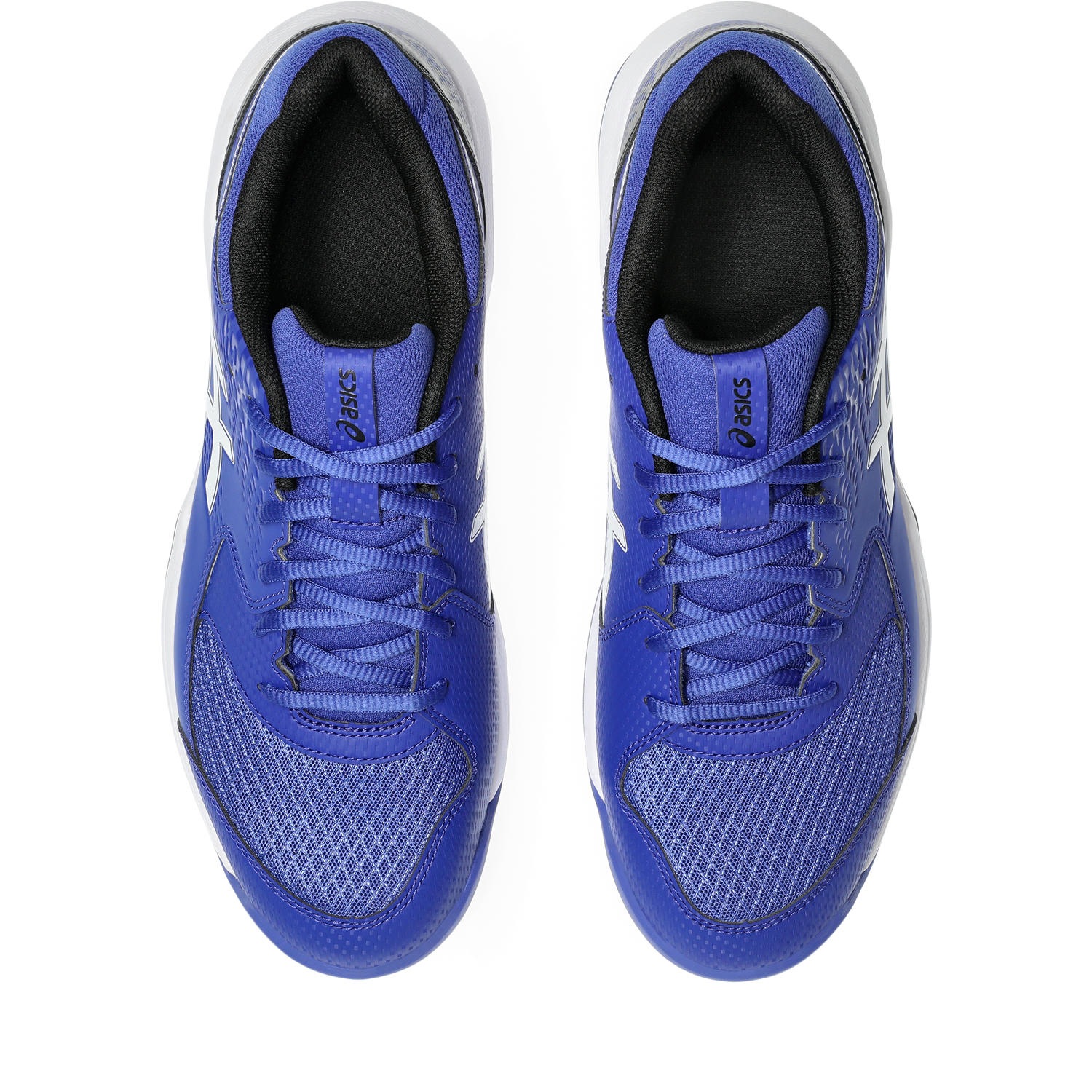 Asics Tennisschuh »GEL-DEDICATE 8 INDOOR«, für Hallenböden