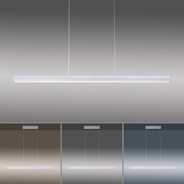 Paul Neuhaus LED Pendelleuchte »NIRO«, 1 flammig-flammig, getrennt schaltbar  | BAUR