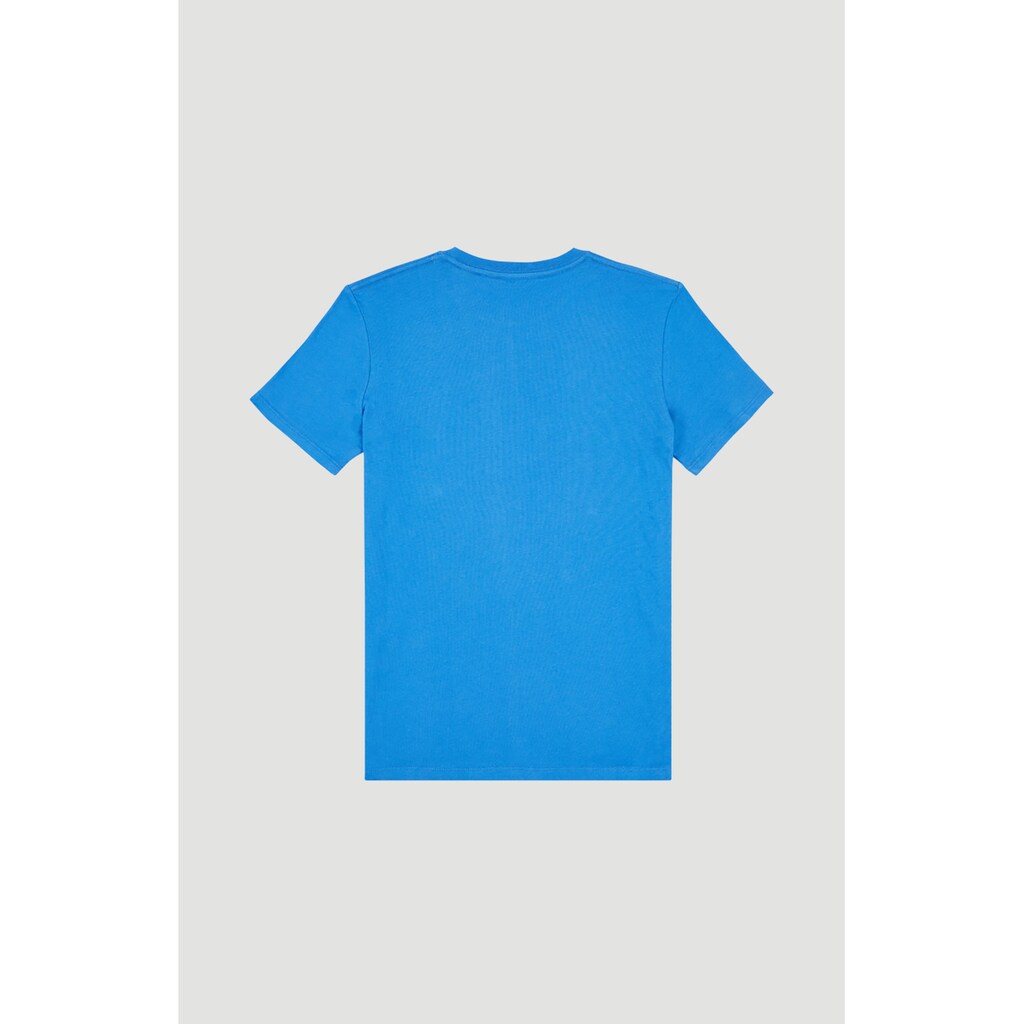 O'Neill T-Shirt »The Point«