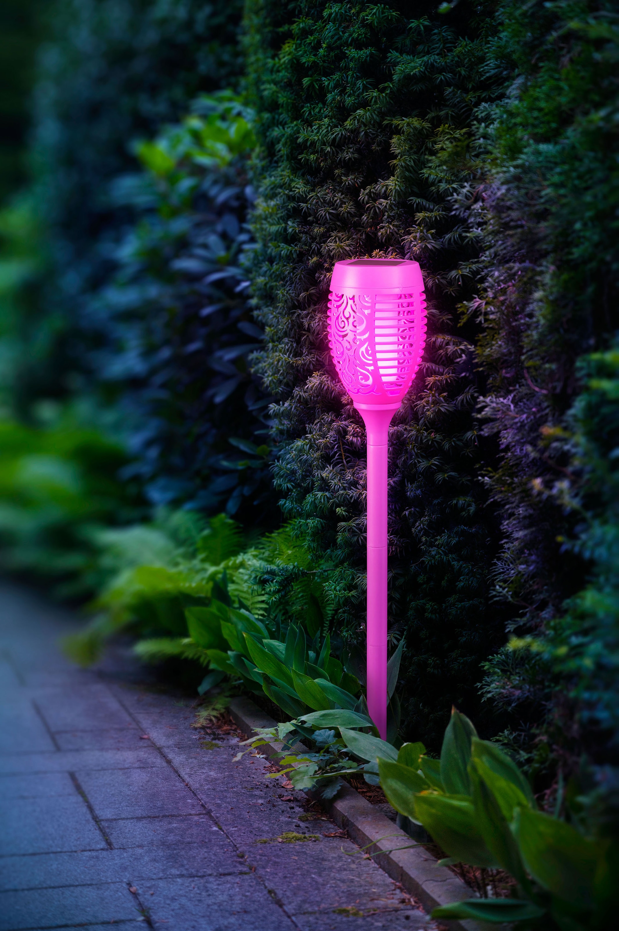 BONETTI LED Gartenfackel, Leuchtmittel LED-Modul | LED fest integriert, LED Solar Gartenfackel lila mit realer Flamme