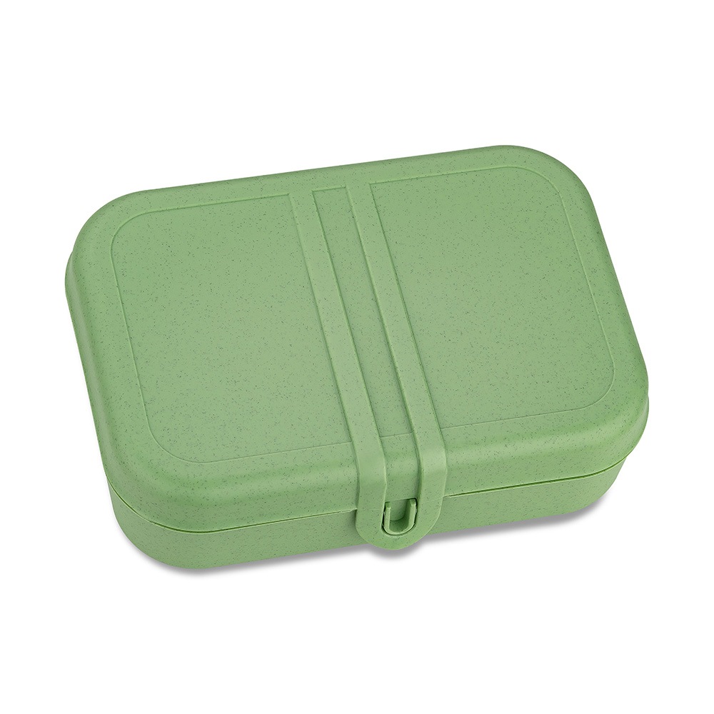 KOZIOL Lunchbox "PASCAL L Lunchbox mit Trennsteg", B/H/L: 16,6cm x 6,2cm x 23,2cm, grün, Lebensmittelaufbewahrungsbehälter, spülmaschinengeeignet,