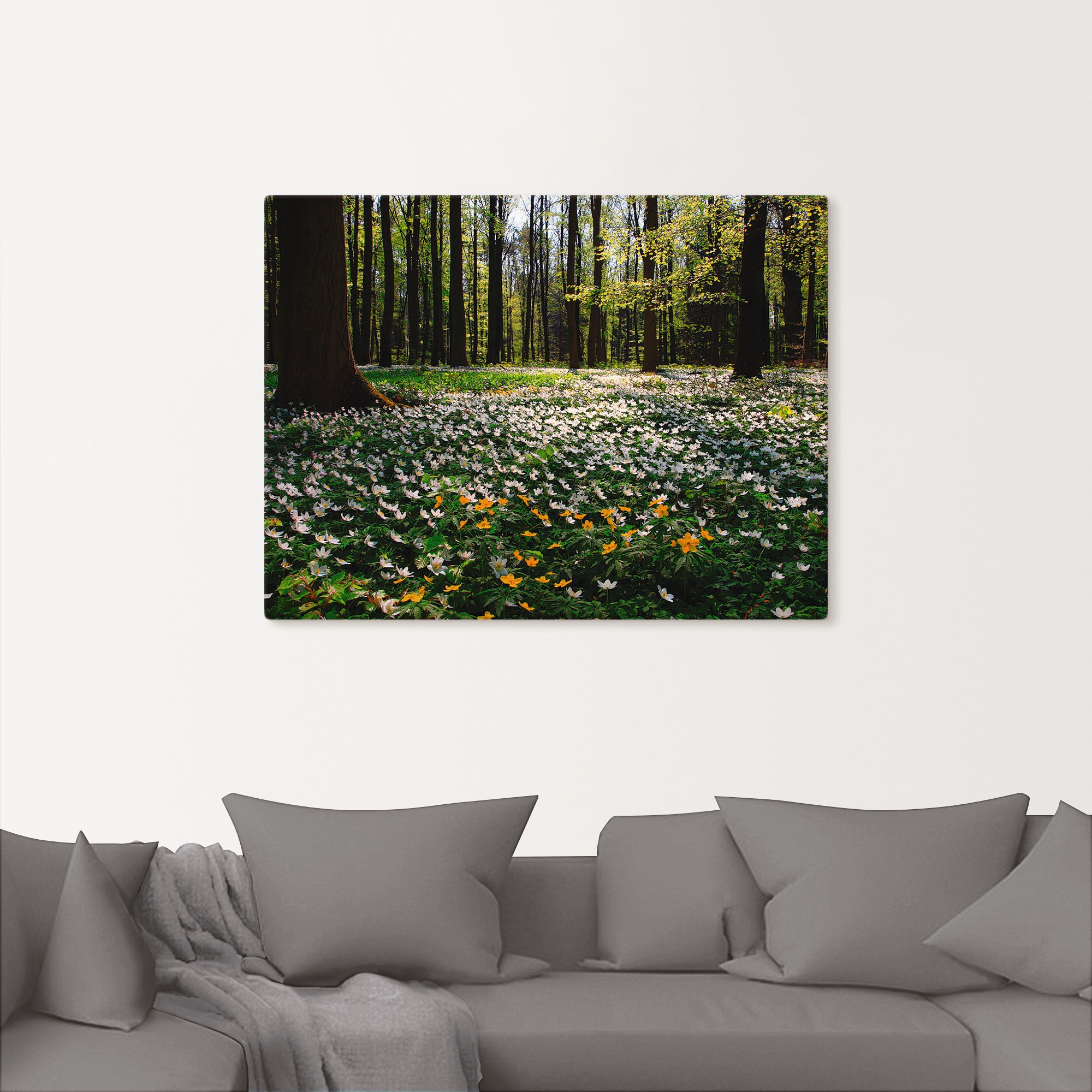 Artland Wandbild »Frühlingswald bedeckt mit Windröschen«, Wald, (1 St.), als Leinwandbild, Poster in verschied. Größen