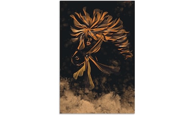 Alu-Dibond-Druck »Liebliches Pony Pop-Art-Stil«, Animal Fantasy, (1 St.)