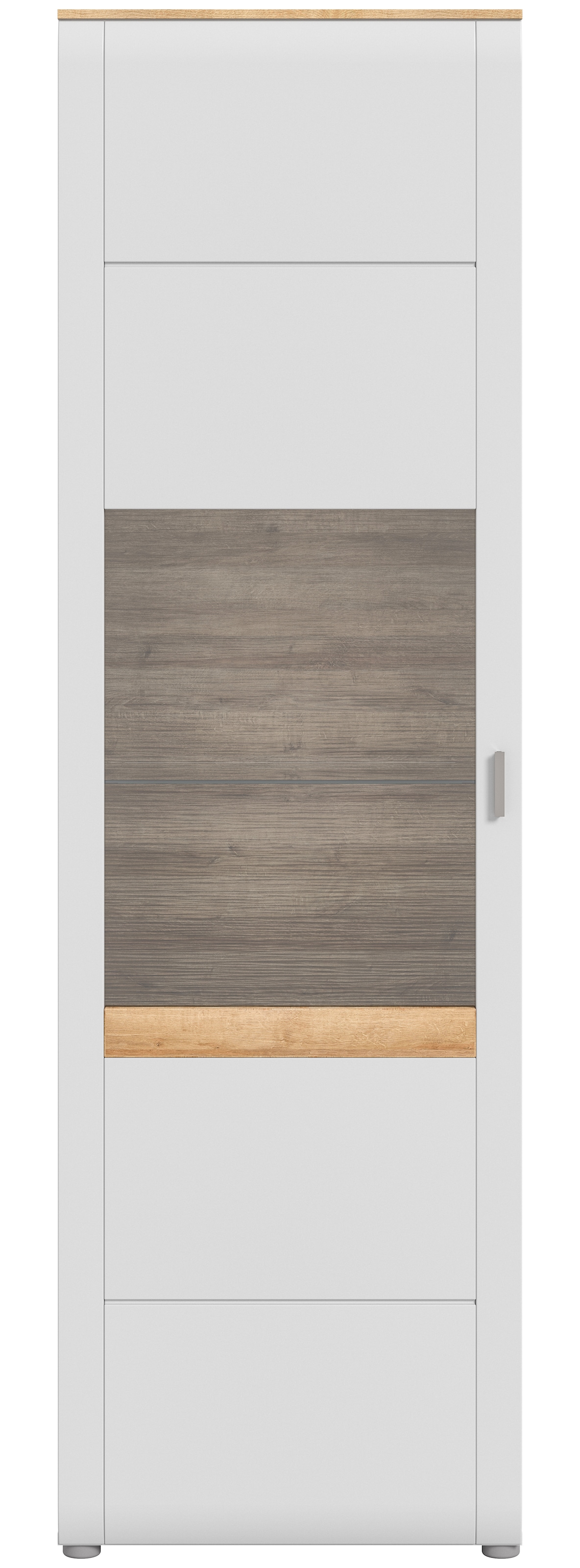 INOSIGN Standvitrine "Aska, Höhe 202cm, Metallgriff, 1 Glastür, 1 Glaseinle günstig online kaufen