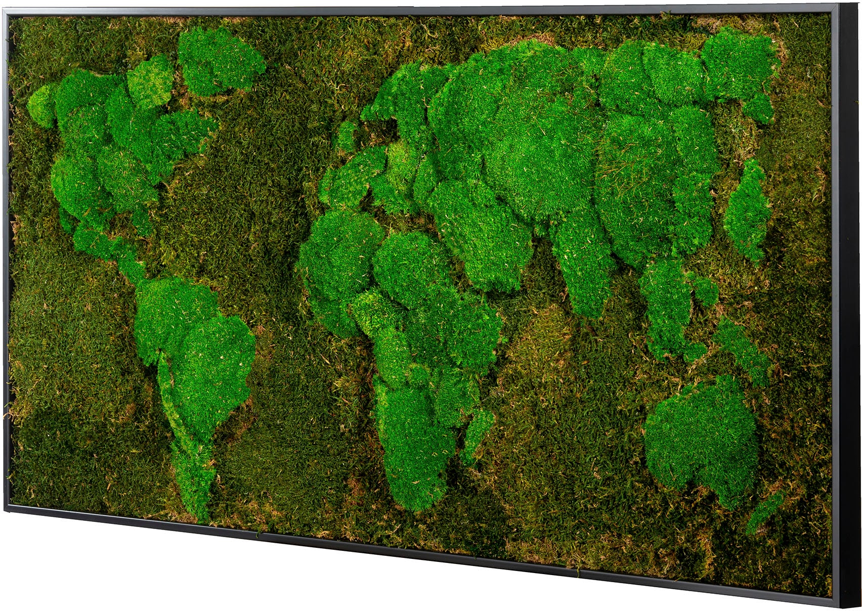 Bönninghoff Bild mit Rahmen »Moos«, Weltkarte, (1 St.), jedes Bild ein Unikat, BxH: 120x60 cm