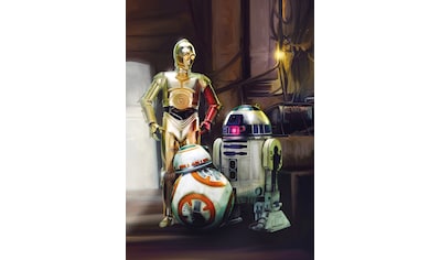 Fototapete »STAR WARS Three Droids«