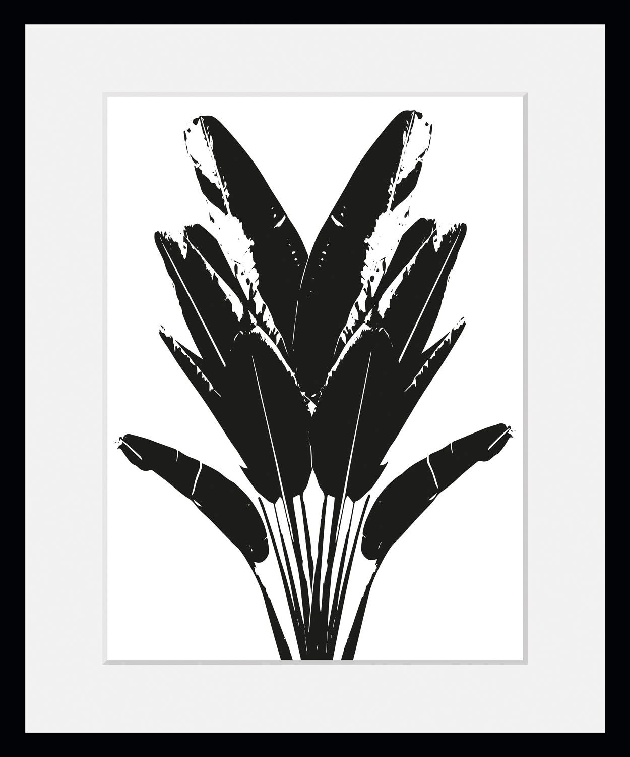 queence Bild »Palma«, Blätter-Pflanzen-Pflanzenbilder-Kunst-Schwarz-Weiß, (1 St.), HD Premium Poster-Druck inkl. Holzrahmen