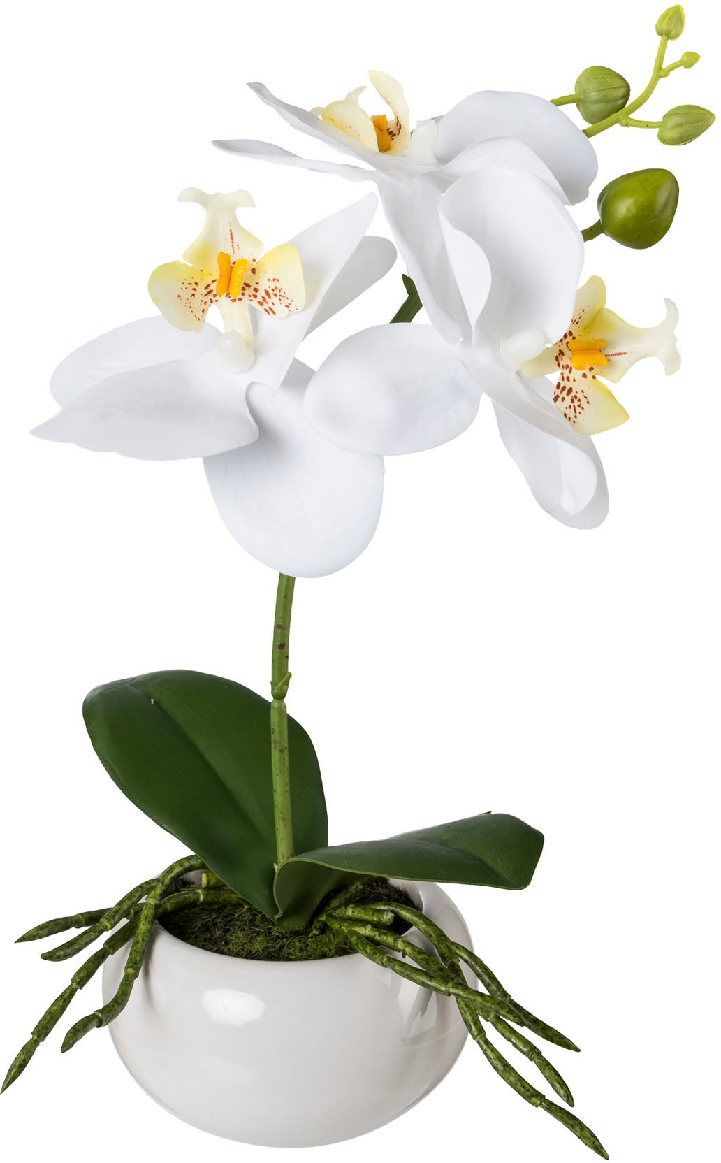 Creativ green Kunstorchidee "Phalaenopsis in Keramikschale", mit Real-Touch günstig online kaufen