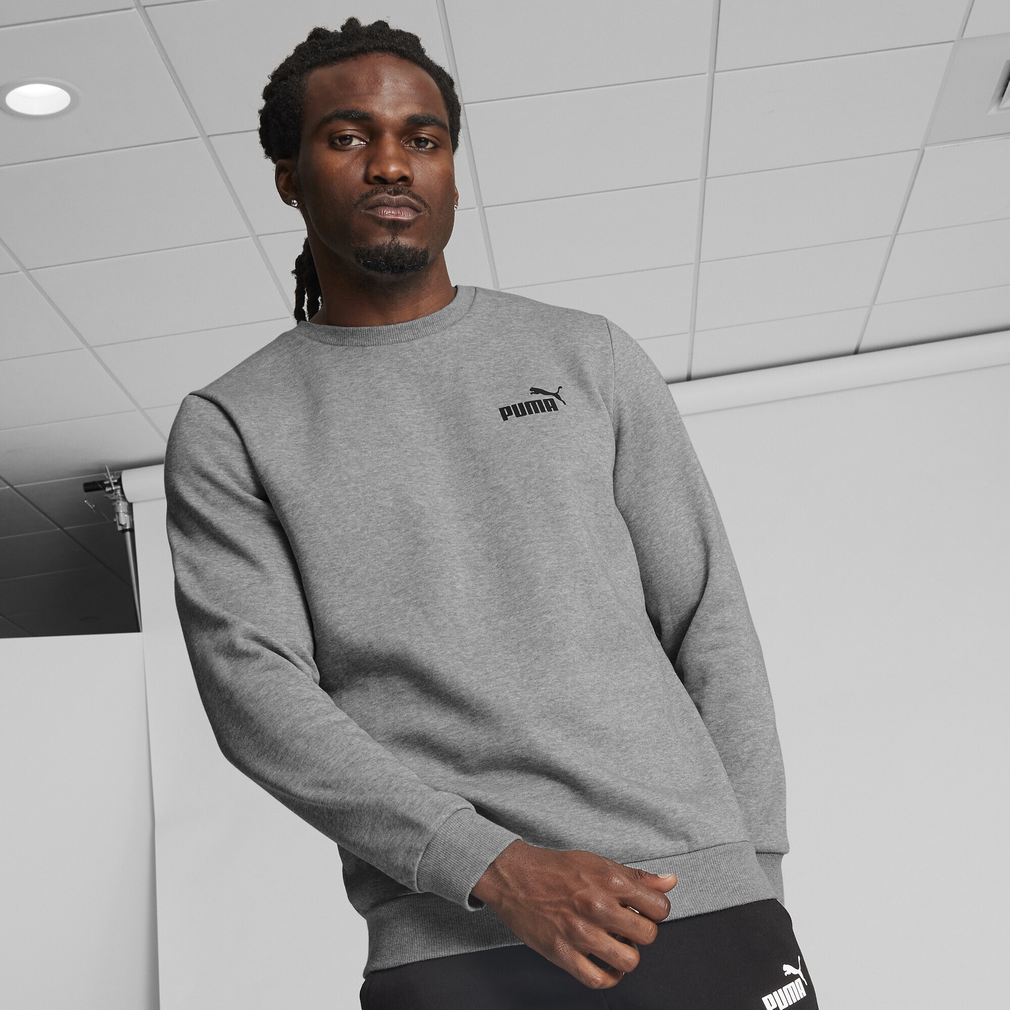 PUMA Sweatshirt »Essentials Small Logo Rundhals-Sweatshirt Herren«