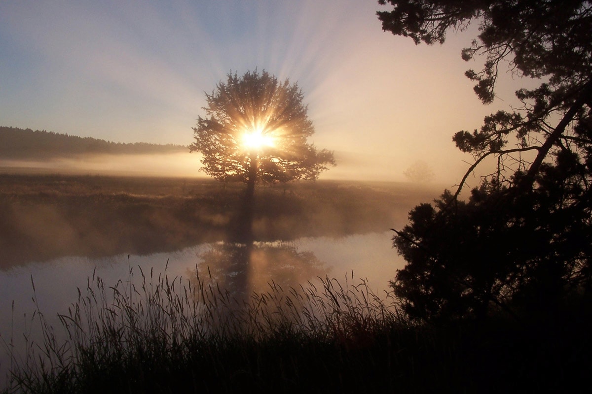 Papermoon Fototapete "Fluss Sonnenaufgang"