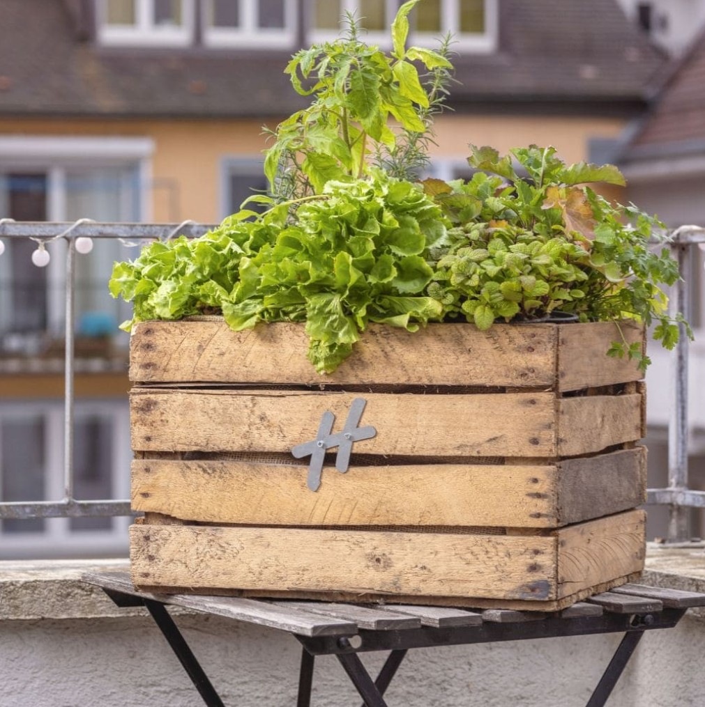 Urban Hochbeet Hochbeet "Holz Kräuterbeet Kiste Apfelkiste Pflanzkasten" günstig online kaufen