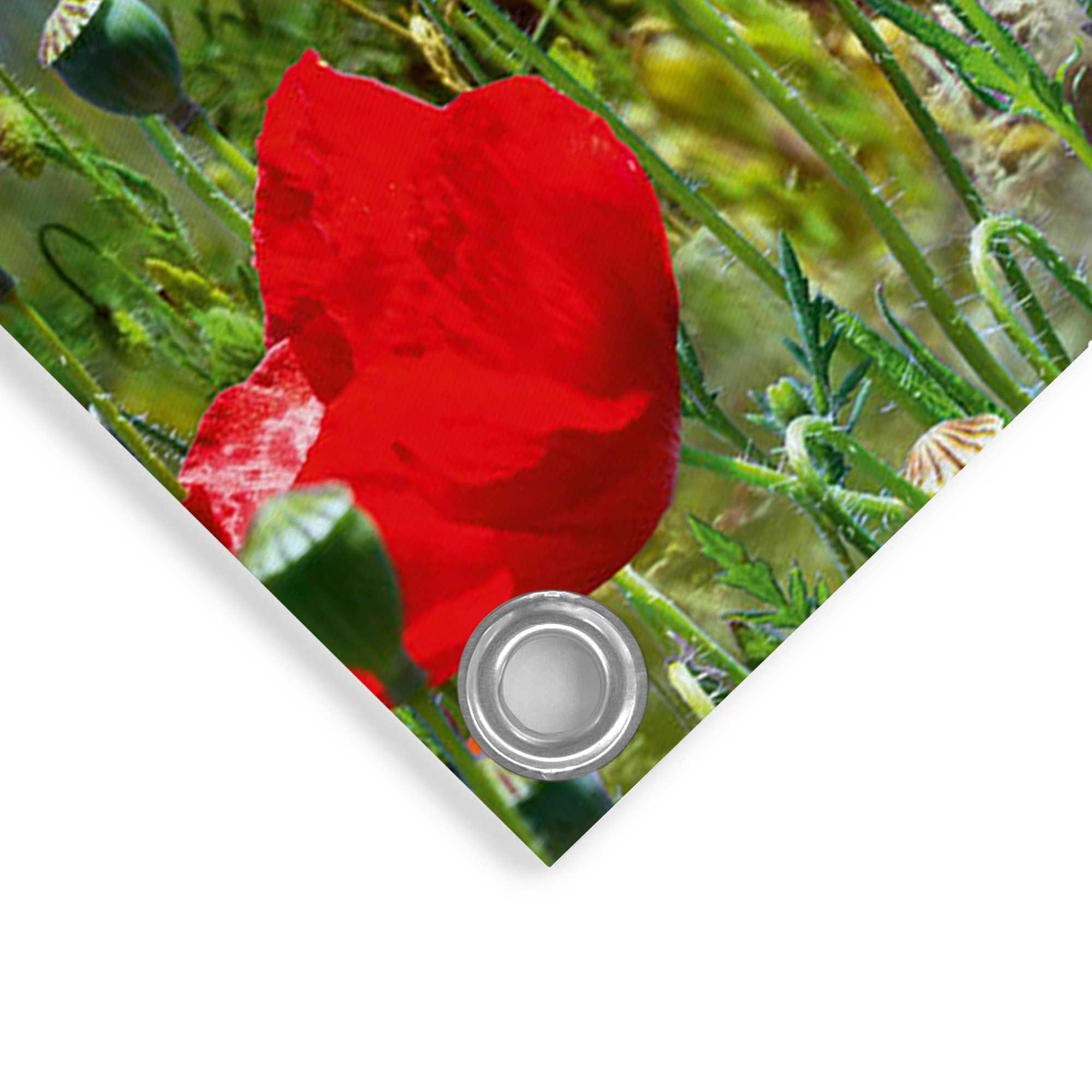 Reinders! Poster »Sommerblumen«, Outdoor für Garten oder Balkon