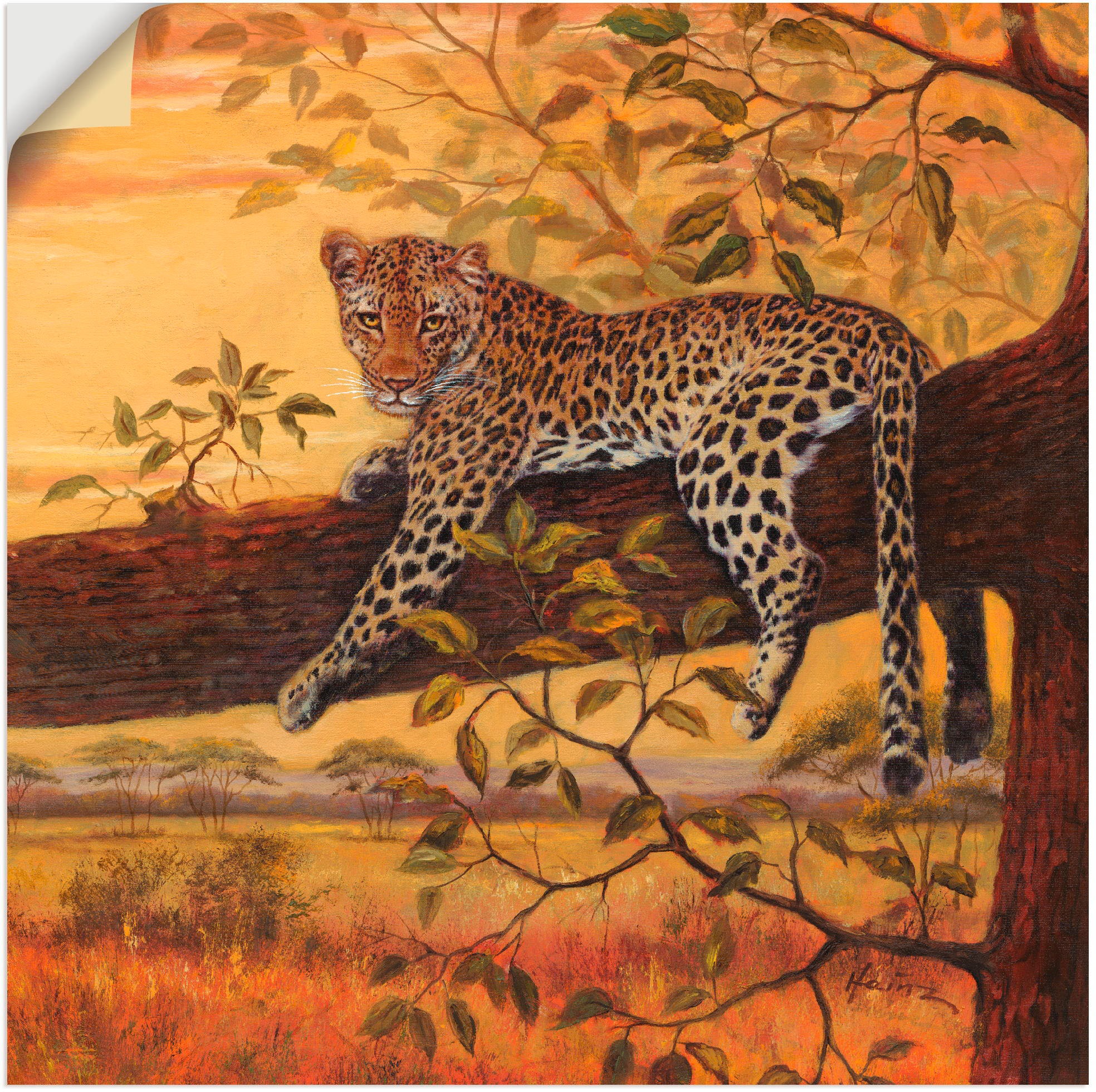 Wildtiere, als kaufen (1 versch. in BAUR Artland Leinwandbild, Wandbild St.), Größen Wandaufkleber | Leopard«, Alubild, »Ruhender Poster oder