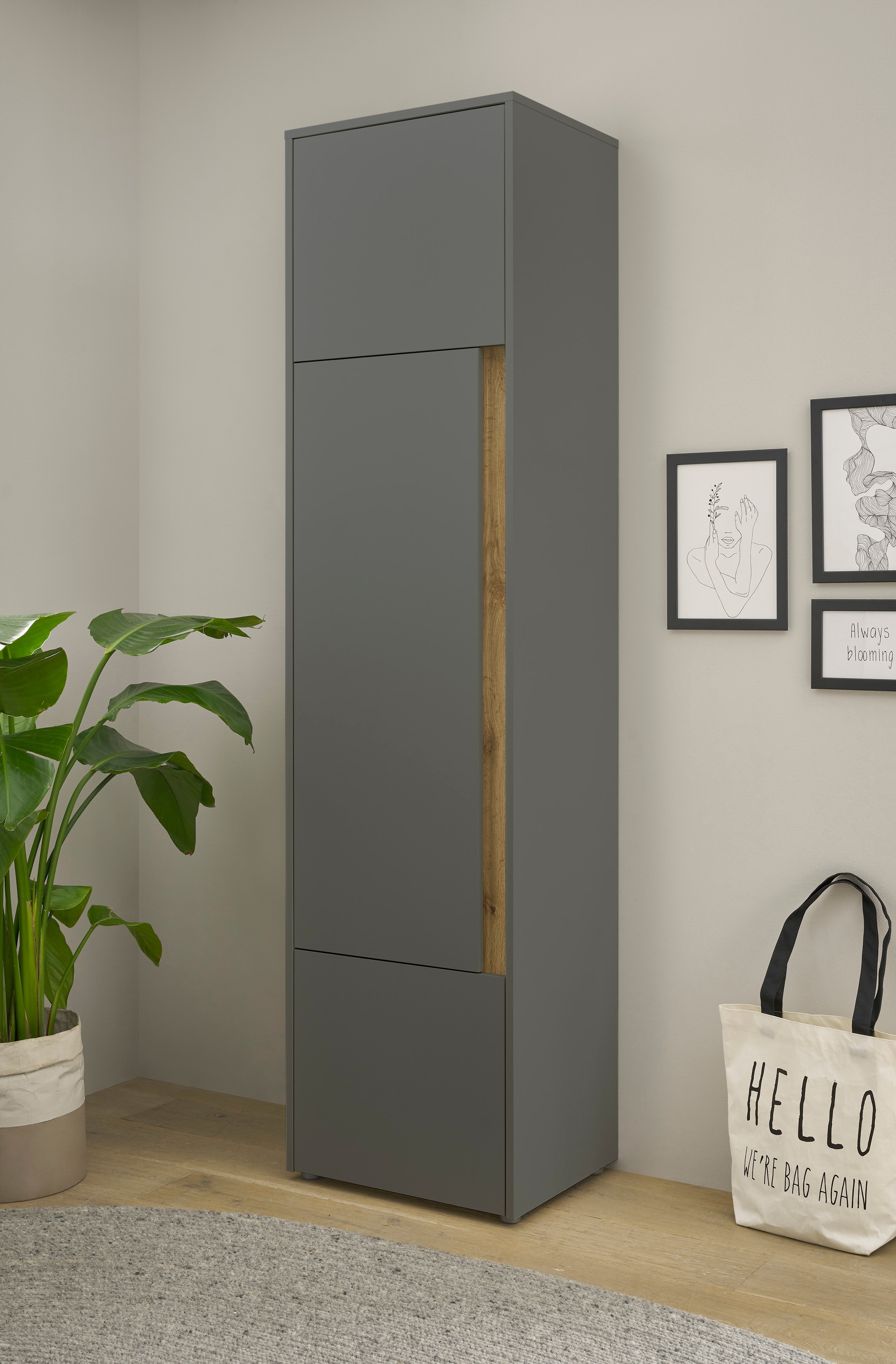 Home affaire Aktenschrank "CiTY/GiRON" Stauraumschrank zeitlos modern, wohnliches Home Office, Breite 50 cm