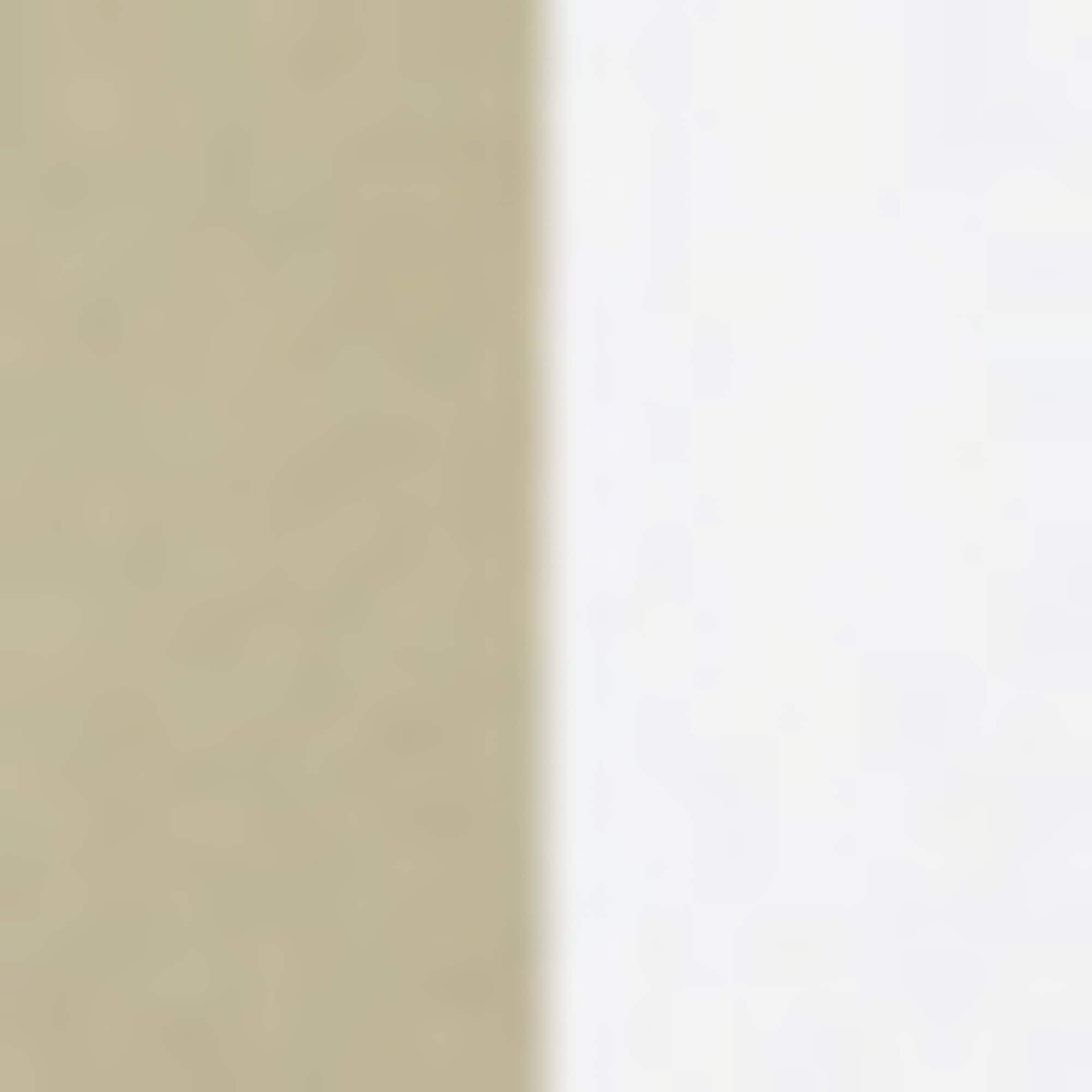 BOSS Freizeitsocken »2P SH Stripe CC« Packung, 2er, 2 Paar tlg. mit BOSS Schriftzug