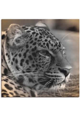 Leinwandbild »Leopard Profil«, Wildtiere, (1 St.)