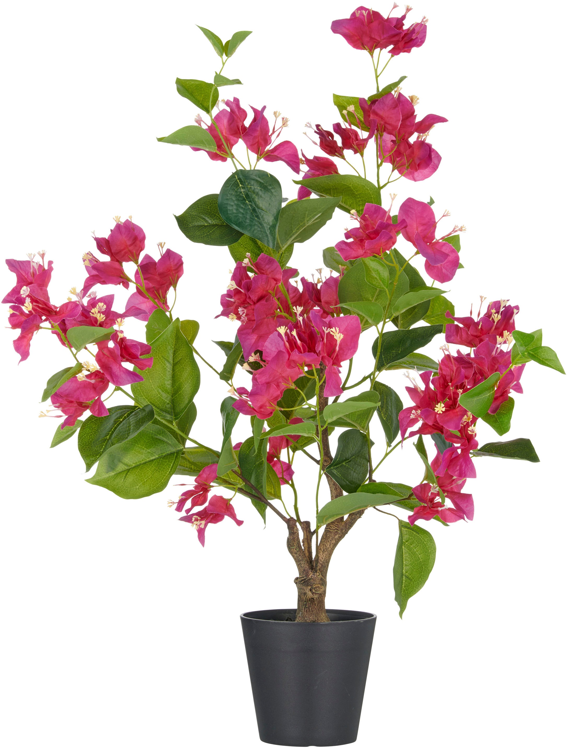 Creativ green Kunstpflanze "Bougainvillea", mit zahlreichen Blüten günstig online kaufen