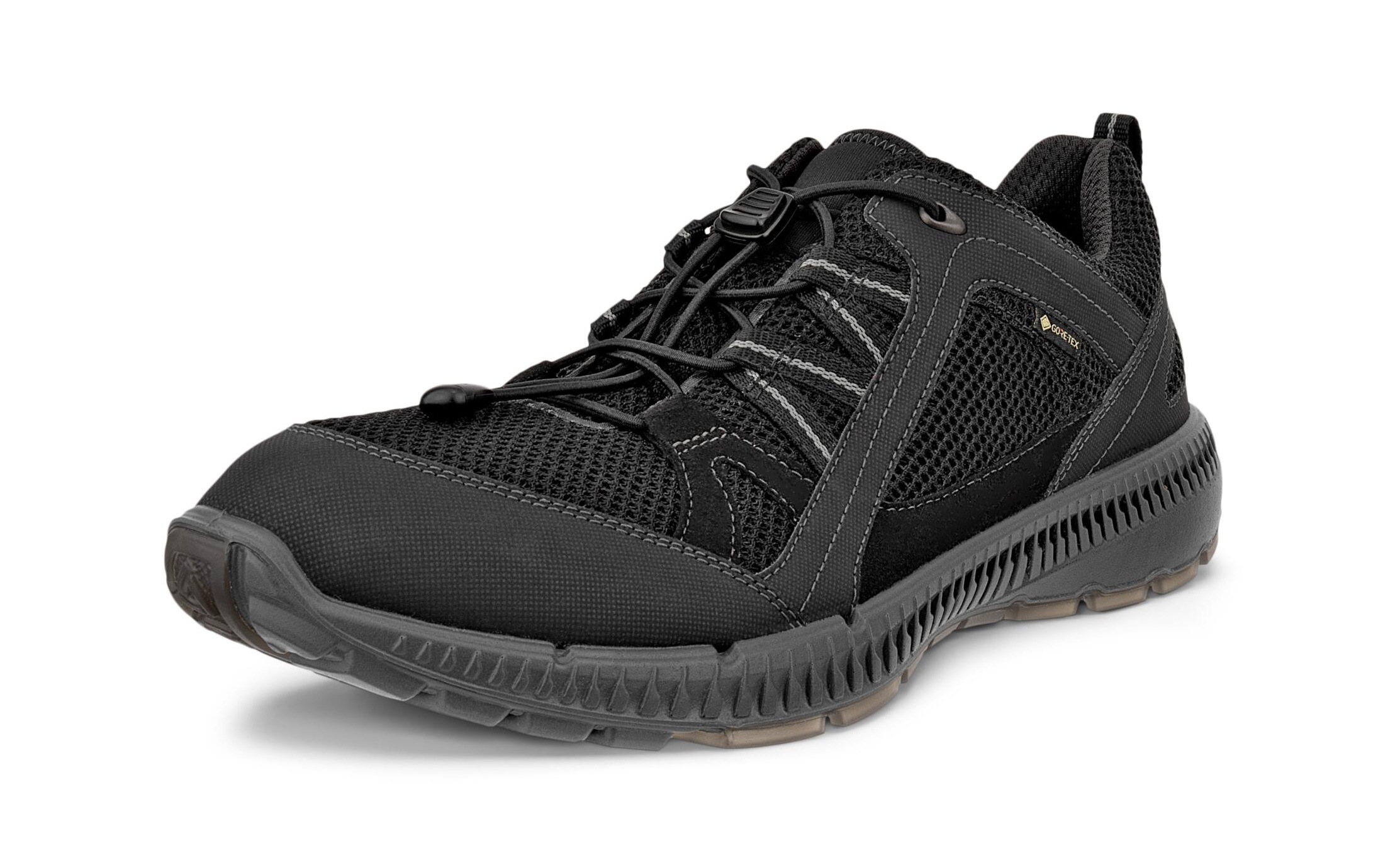 Ecco Sneaker »TERRACRUISE 2 M«, mit GORE-TEX