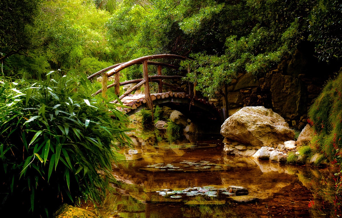 Papermoon Fototapete "Brücke im Wald"