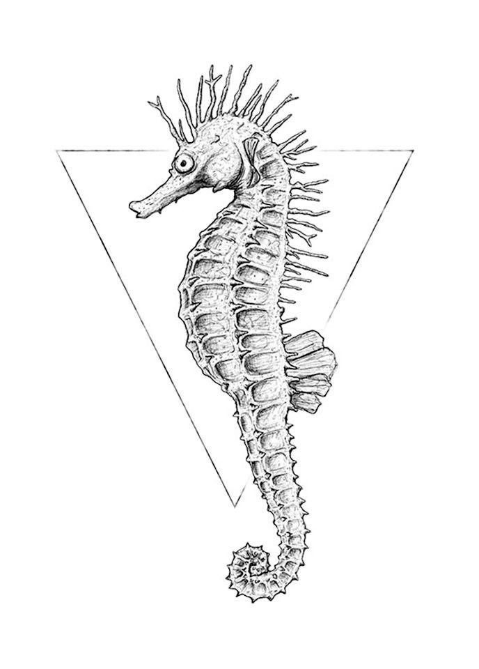 Komar Bild »Sea Horse White«, Tiere, (1 St.), Wandbild zur Dekoration - ohne Rahmen