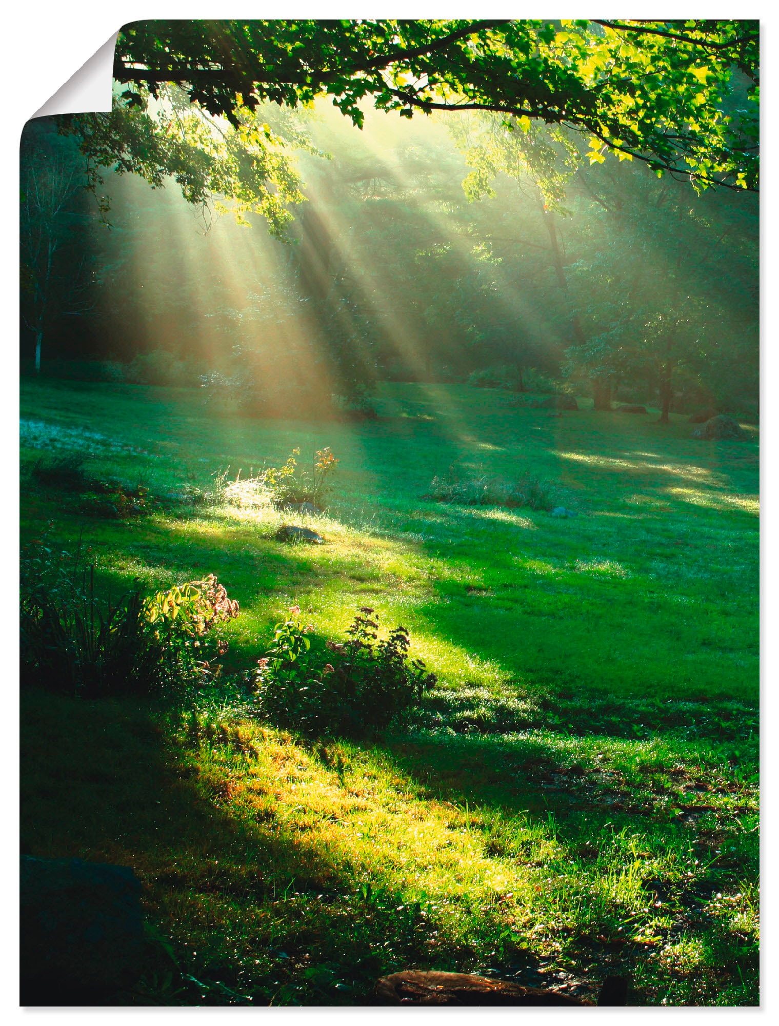 Artland Wandbild "Lichtkegel" Wald 1 Stk. tlg. als Alubild, Outdoorbild, Le günstig online kaufen