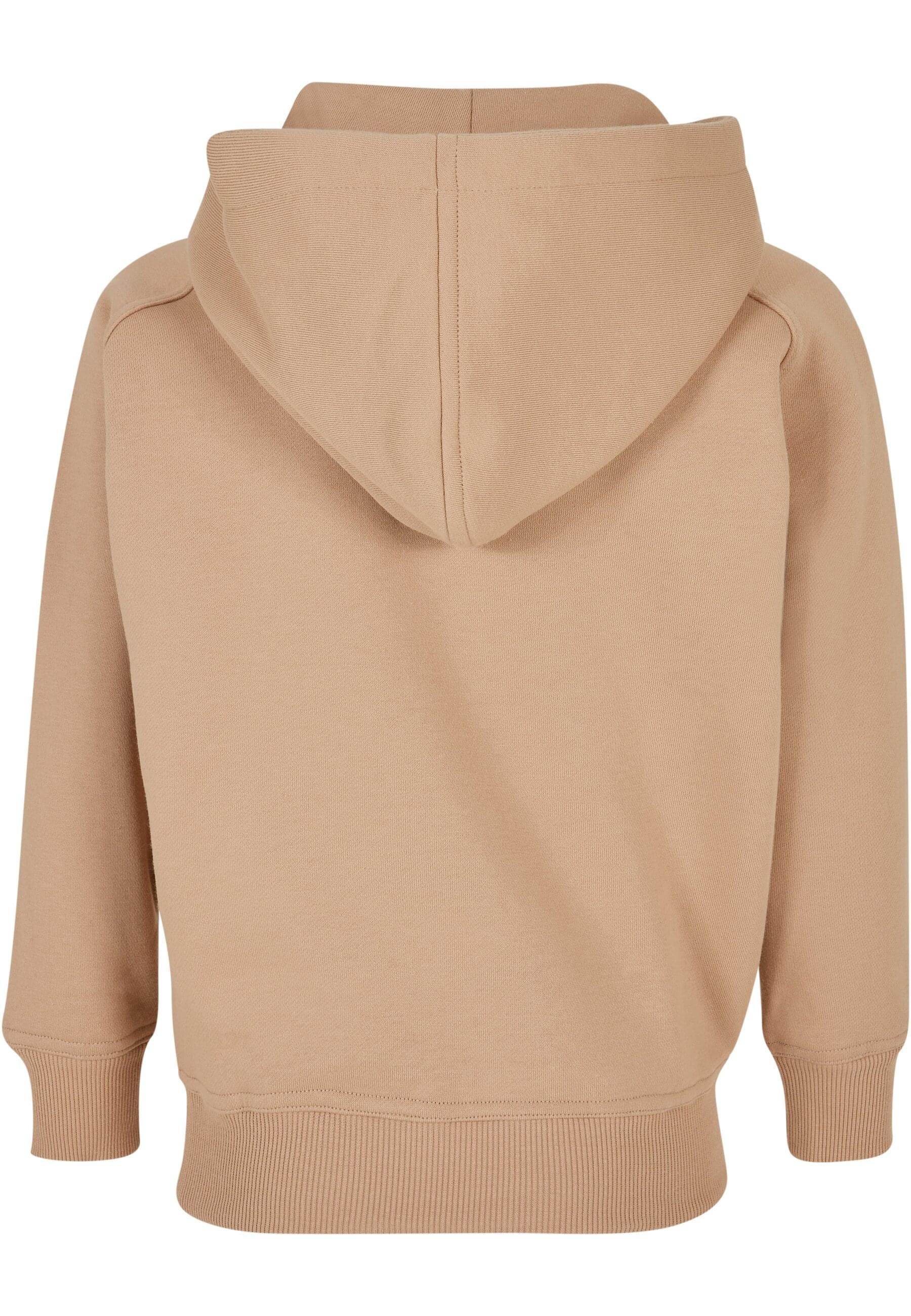 URBAN CLASSICS Hoodie »Urban Classics Herren Boys Blank Hoody«, (1 tlg.)