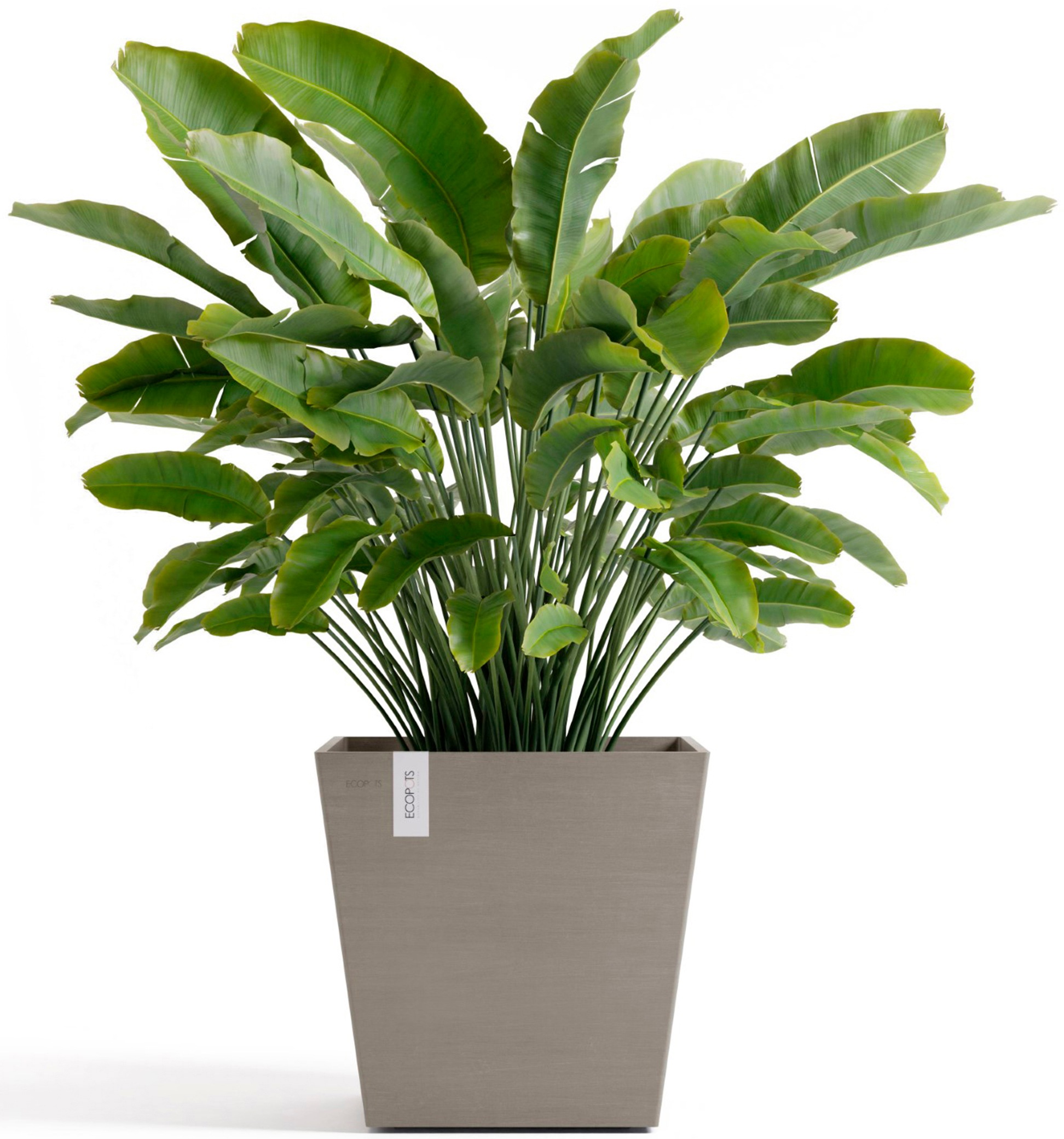 ECOPOTS Blumentopf »Rotterdam 45 + Wassersystem Taupe«, für innen und außen: frostsicher, bruchsicher und lichtbeständig