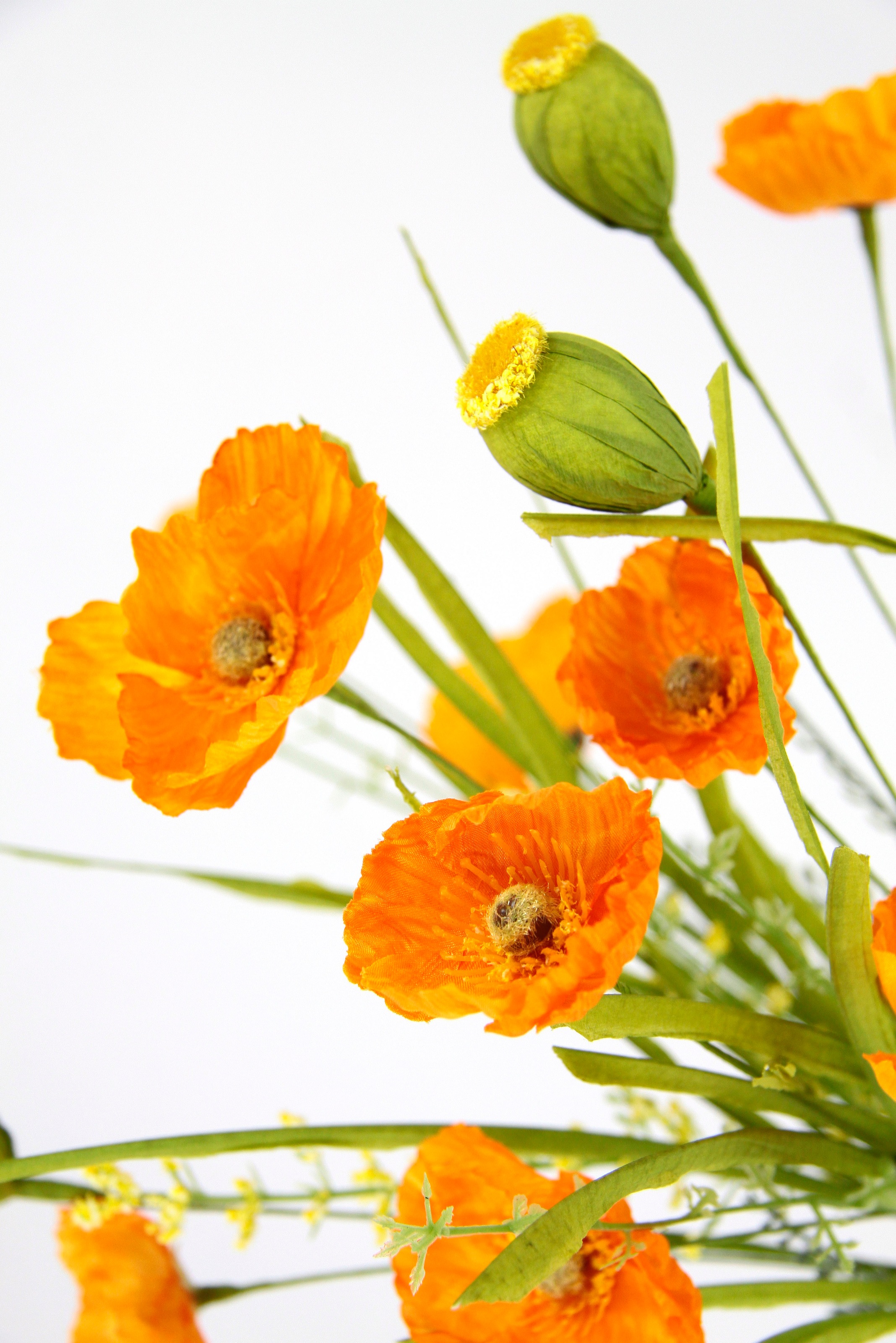 Kunstblume I.GE.A. "Mohnblumenbusch in Vase aus Keramik", orange, B:26cm H:47cm L:14cm, Polyester, Kunstpflanzen, Blumen Mohnblume Mohn Mohnbusch Bouquet Strauß Seidenblumenstrauß 3