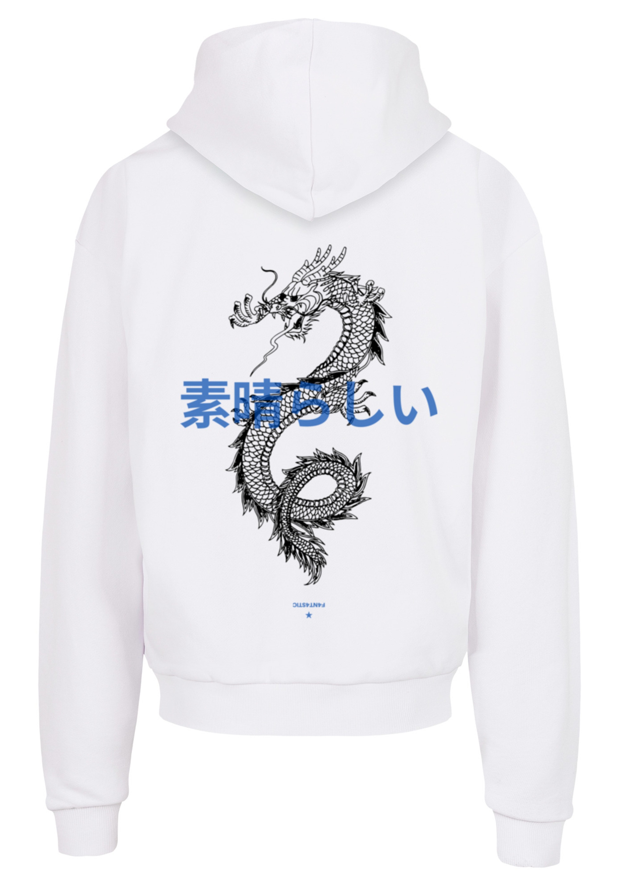F4NT4STIC Kapuzenpullover »Drache Lila«, Print