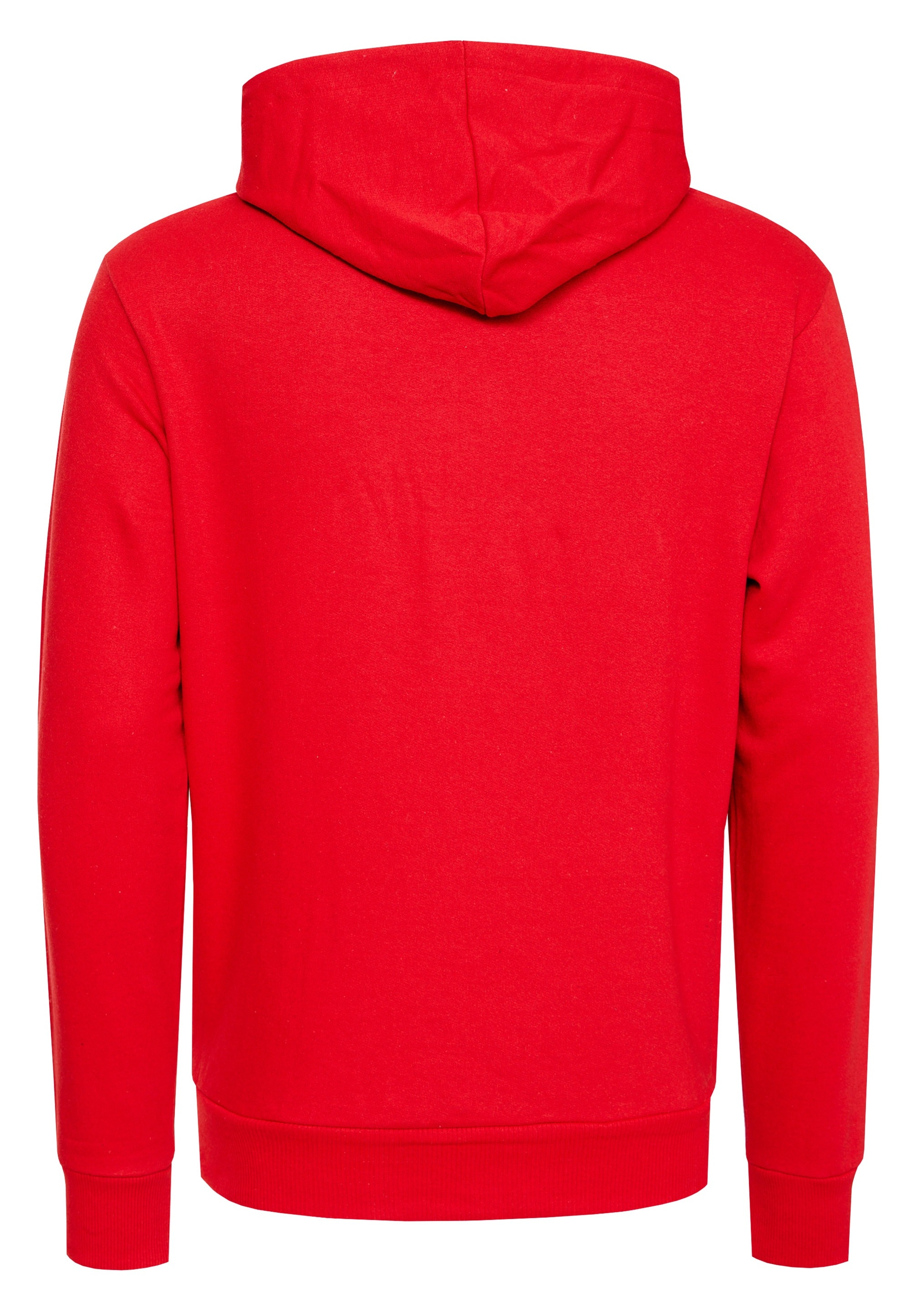 Rusty Neal Kapuzensweatshirt, in bequemer Regular Fit-Passform