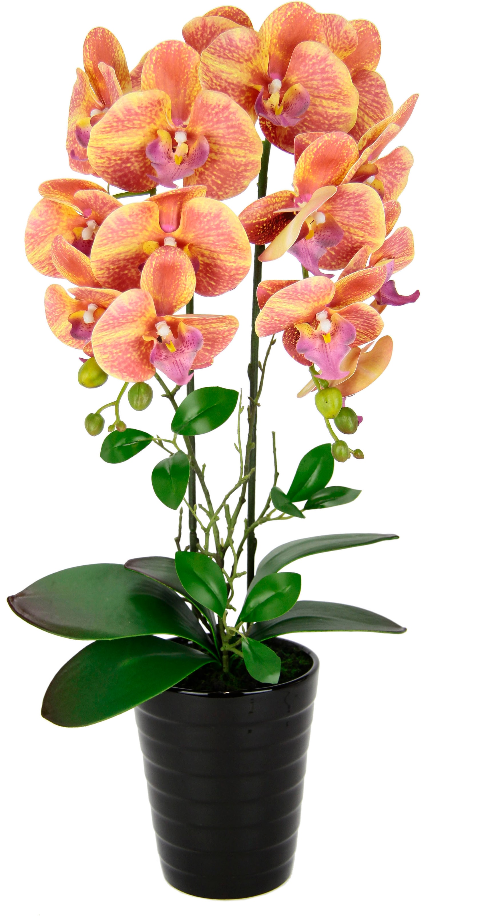 I.GE.A. Kunstblume "Orchidee" Im Topf Phalaenopsis Orchidee Phalaenopsis mit Übertopf Hochzeit