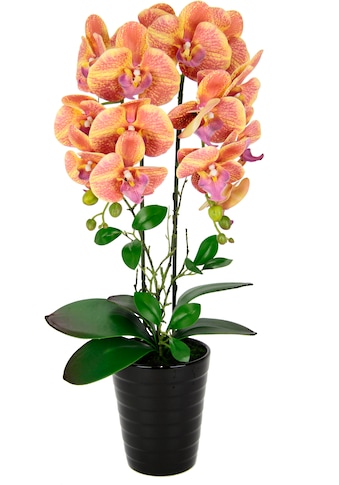 I.GE.A. Kunstblume »Orchidee« im puodas Phalae...