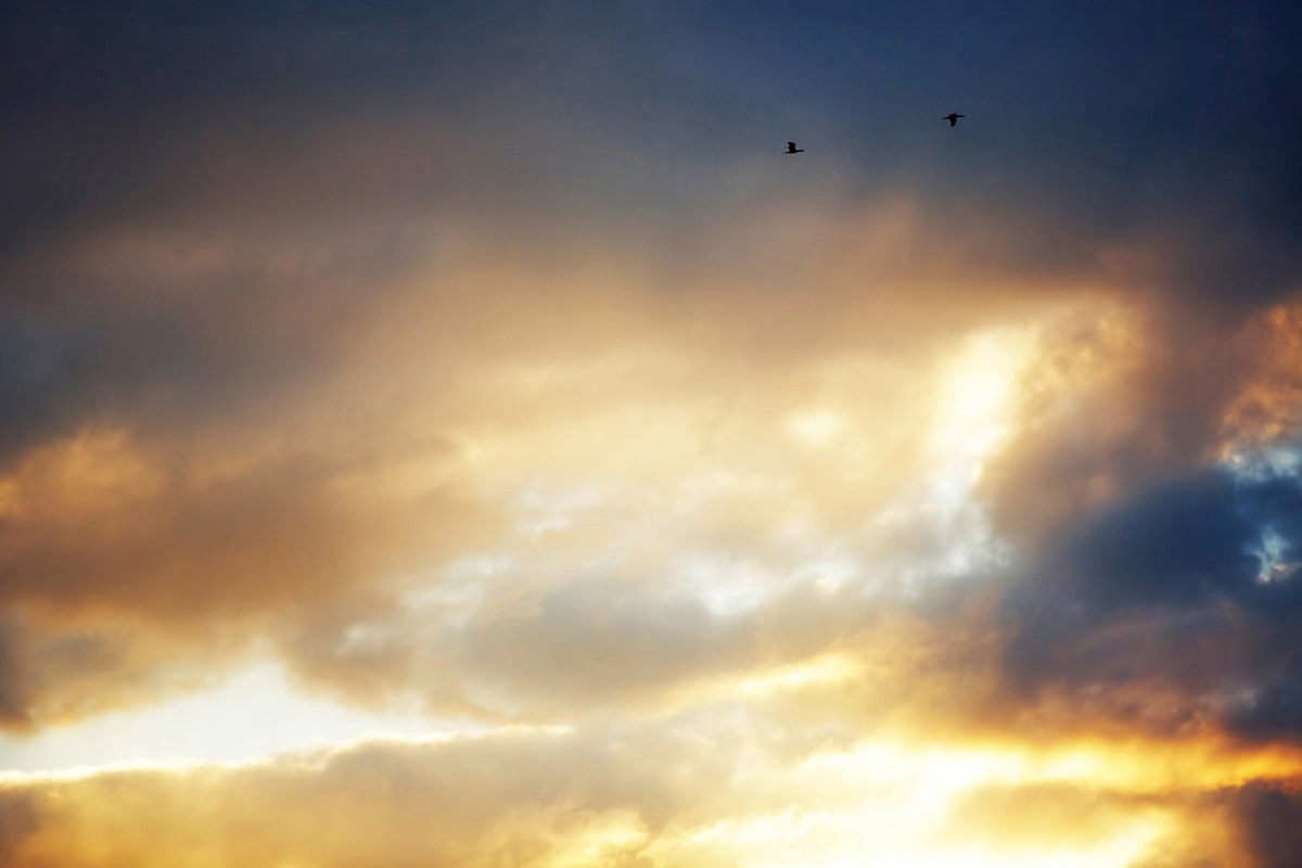Thumbnail - Papermoon Fototapete "Himmel"