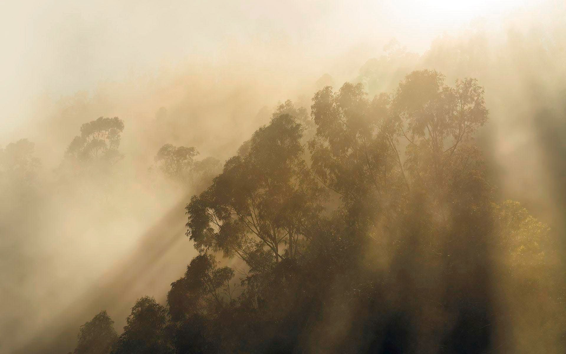 Komar Vliestapete »Misty Mountain« 400x250 c...