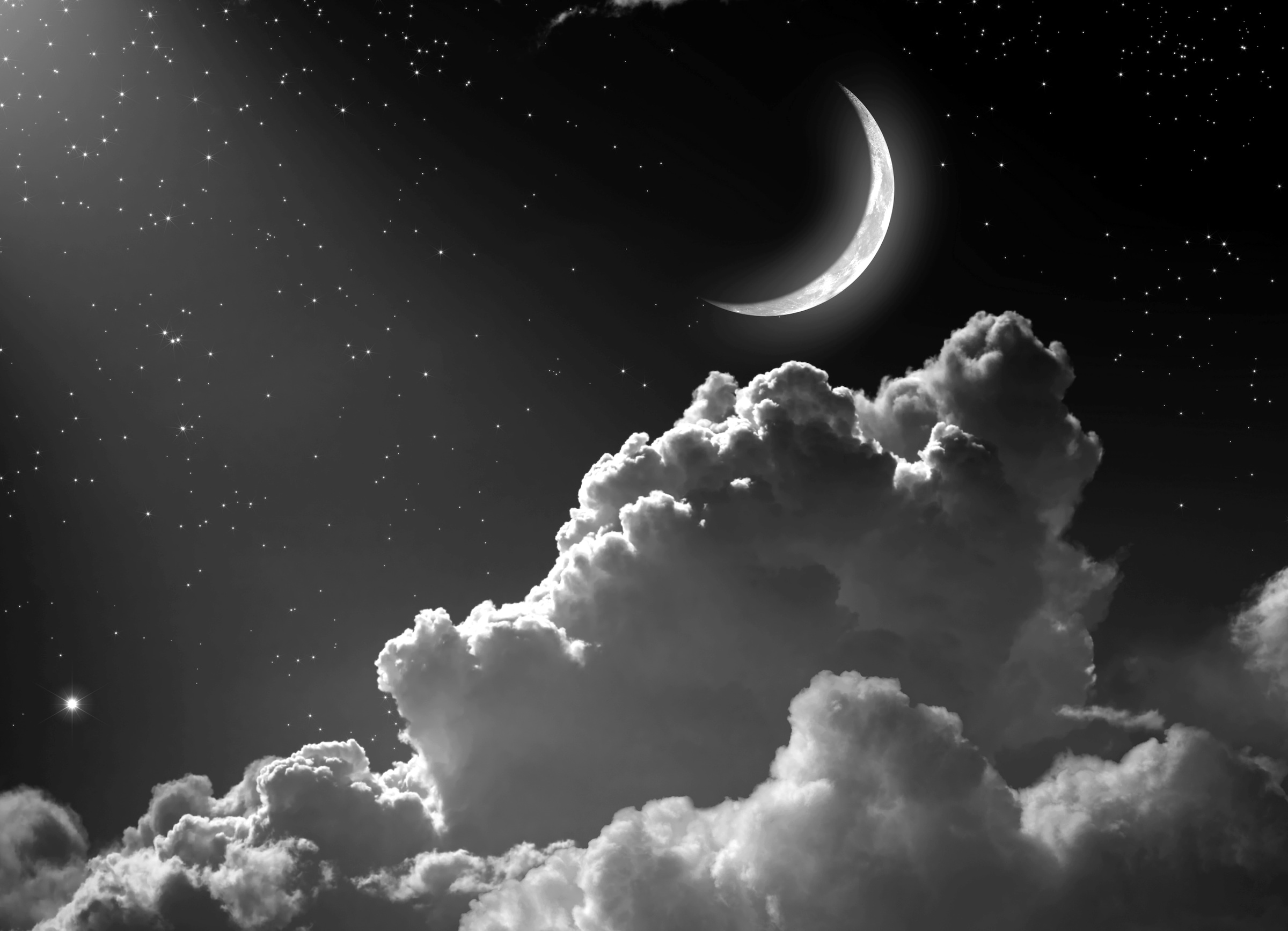 Papermoon "Nachthimmel Schwarz & Weiß"