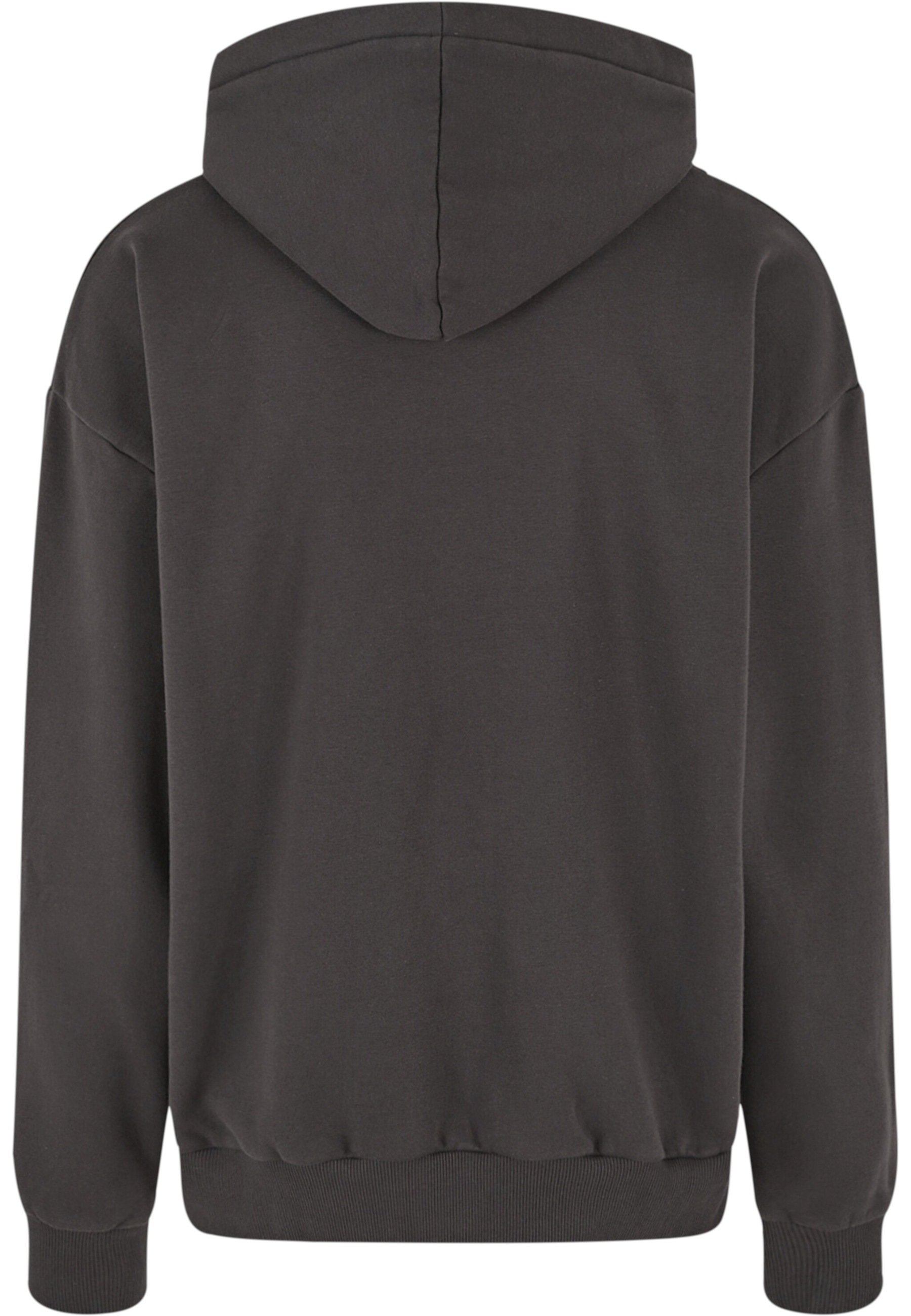 Dropsize Kapuzensweatshirt »Dropsize Dropsize Heavy Oversize Puffer Print Hoodies«, 1 Stk.
