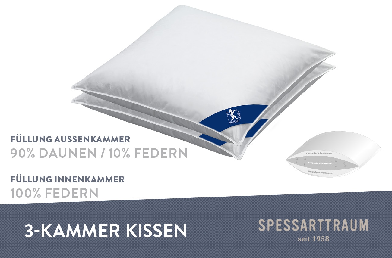 SPESSARTTRAUM 3-Kammer-Kopfkissen »Arosa Sparset«, (1 St.), Kissen 40x80, 80x80 cm & weitere Größen