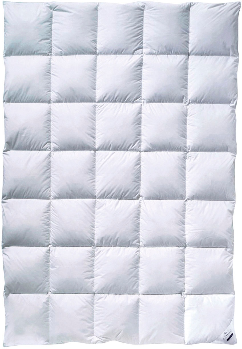 billerbeck Daunenbettdecke "Enisa 80, Bettdecke in 135x200, 155x220, 200x20 günstig online kaufen