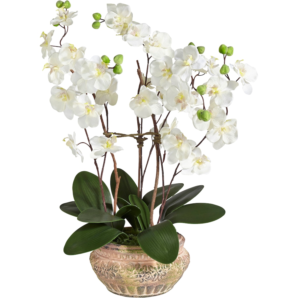 Schneider Kunstpflanze »Orchidee«, (2 St.)