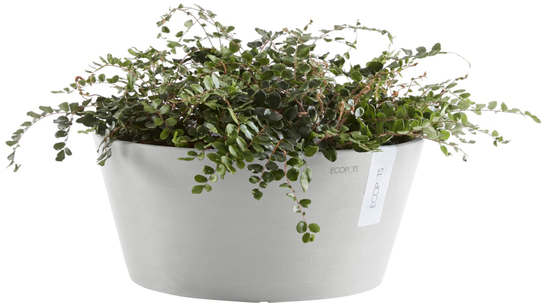 ECOPOTS Blumentopf »Frankfurt 40 Weißgrau«, für innen und außen: frostsicher, bruchsicher und lichtbeständig