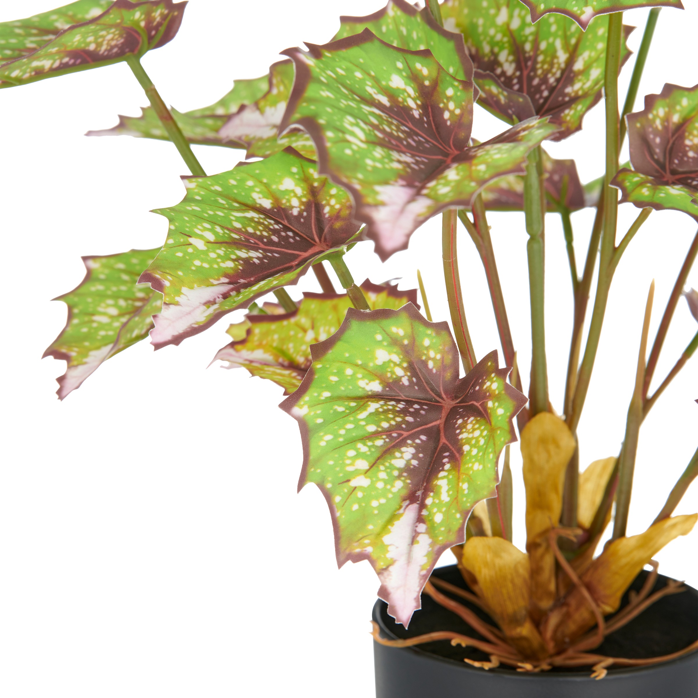 Creativ green Kunstpflanze »Begonia rex«, mit außergewöhnlicher Blattzeichnung