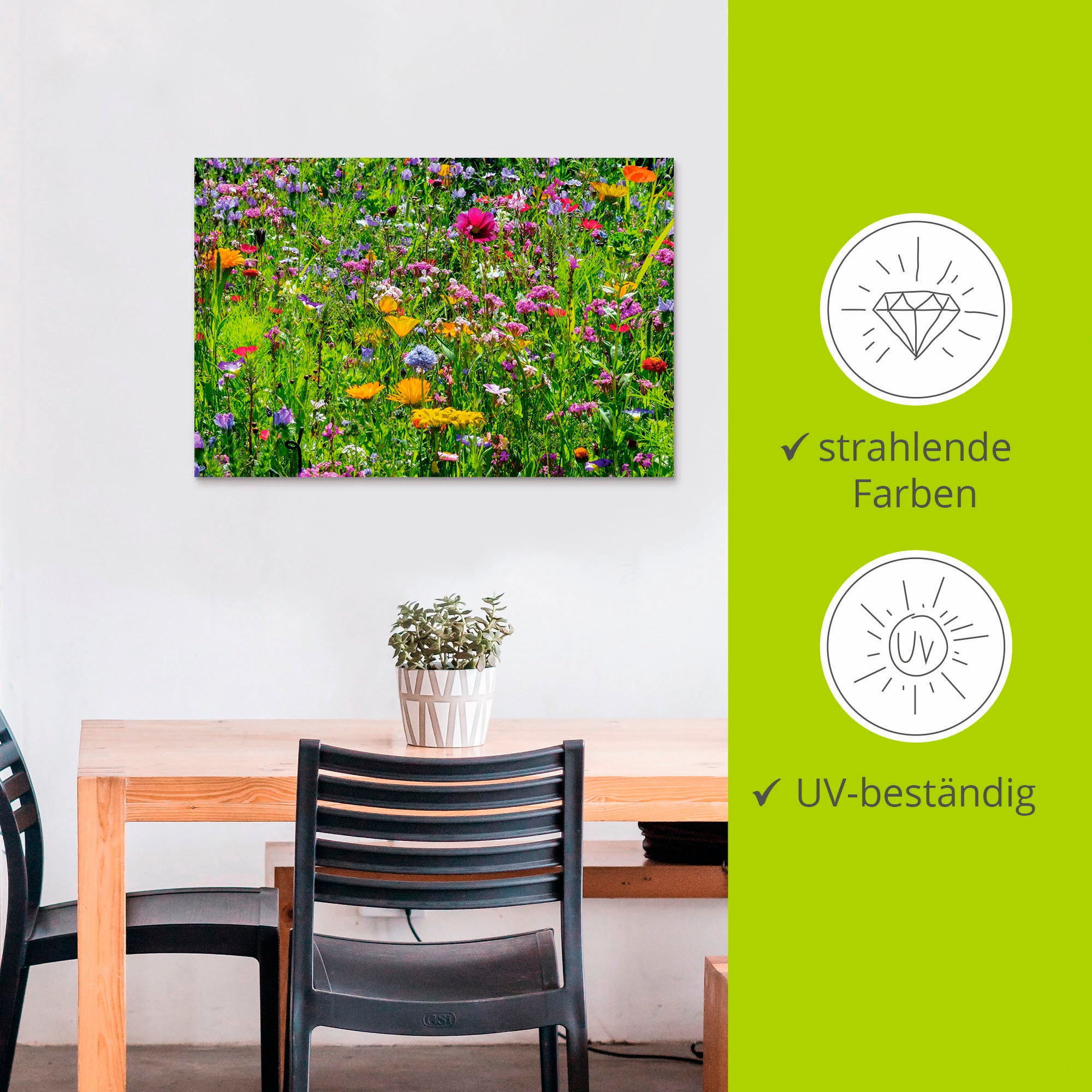 Artland Wandbild »Bunte Blumenwiese«, Blumenwiese, (1 St.), als Alubild, Outdoorbild, Leinwandbild, Poster, Wandaufkleber