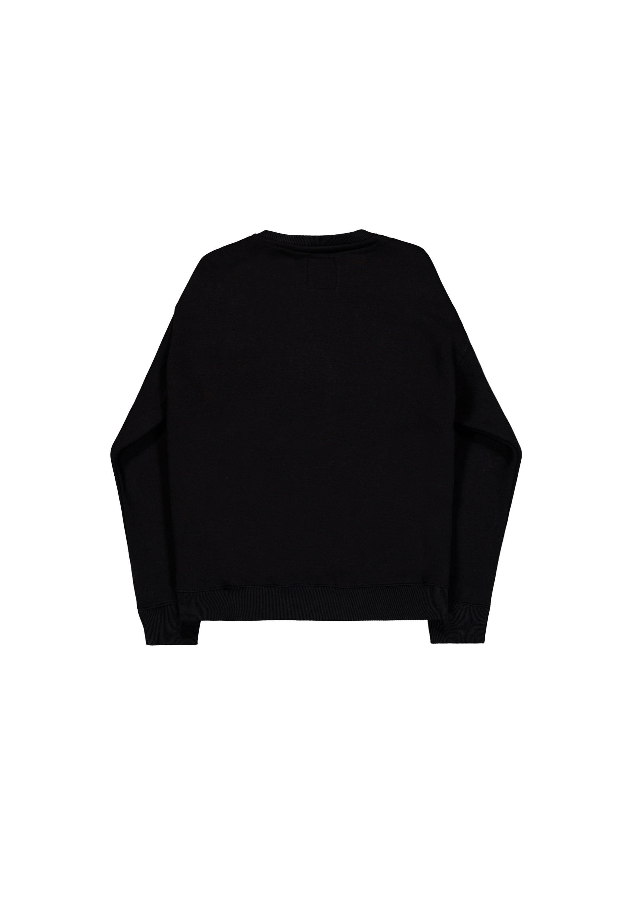 Alpha Industries Sweater "Alpha PP Sweatshirt" günstig online kaufen