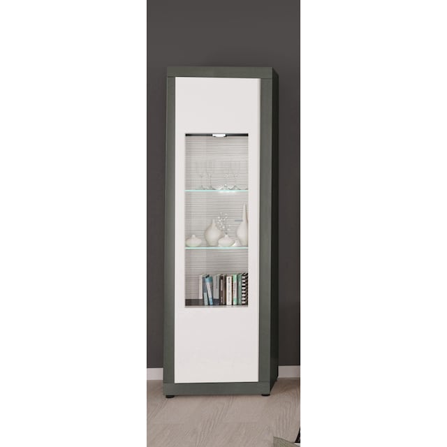 INOSIGN Vitrine »Magnus«, Höhe 205 cm kaufen | BAUR