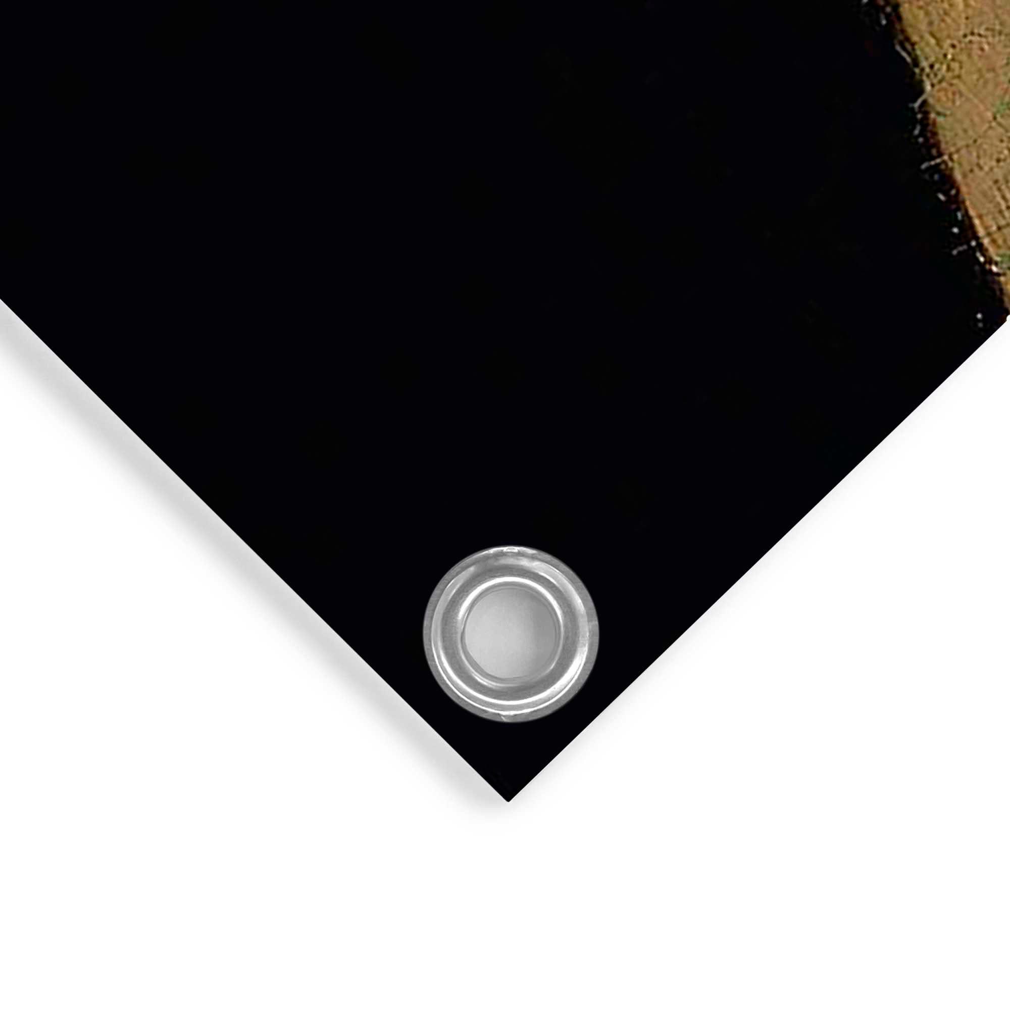 Reinders! Poster »Das Mädchen mit dem Perlenohrring«