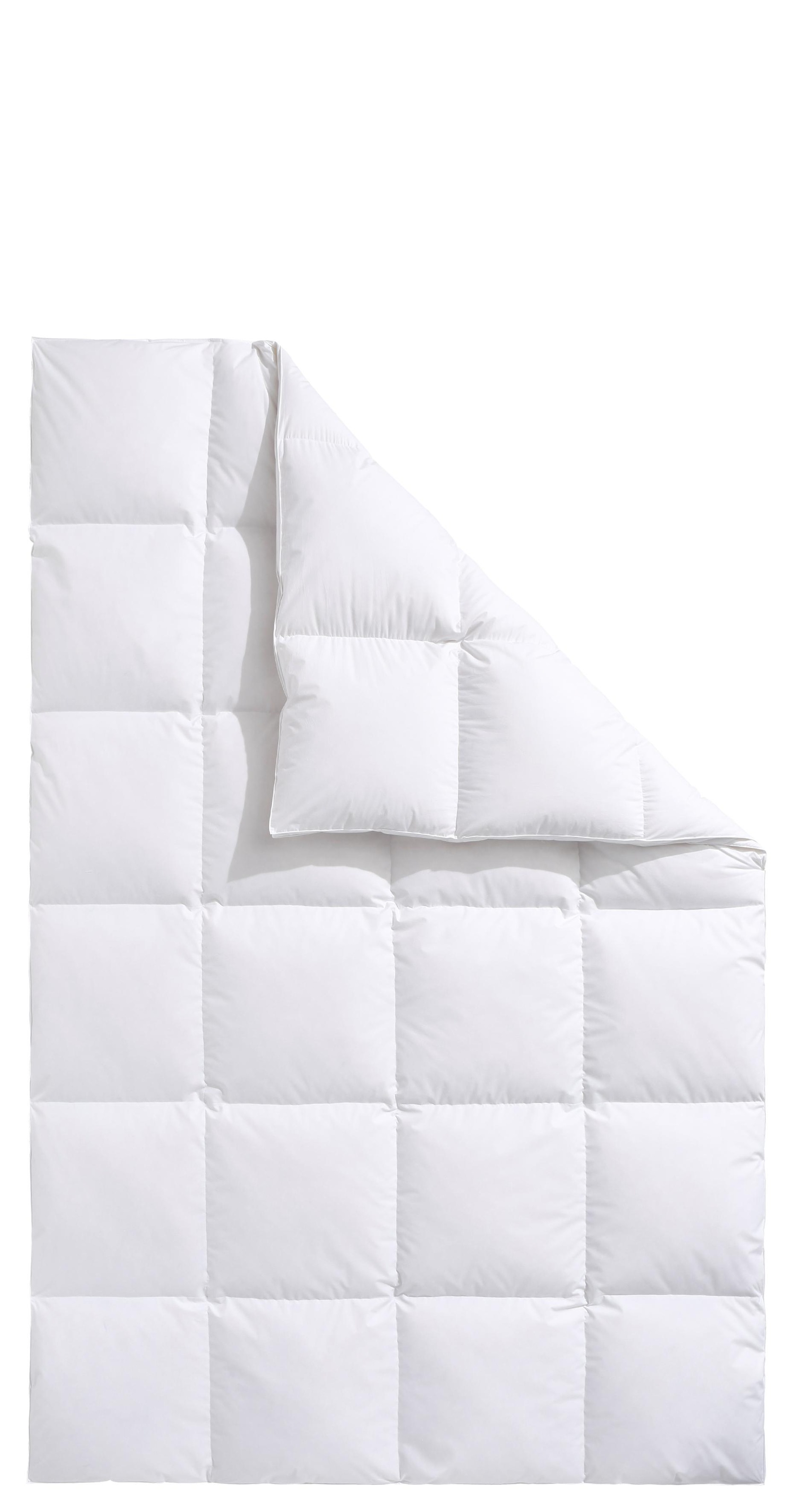 Haeussling Daunenbettdecke "Swiss Royal, Bettdecken für Sommer und Winter, günstig online kaufen